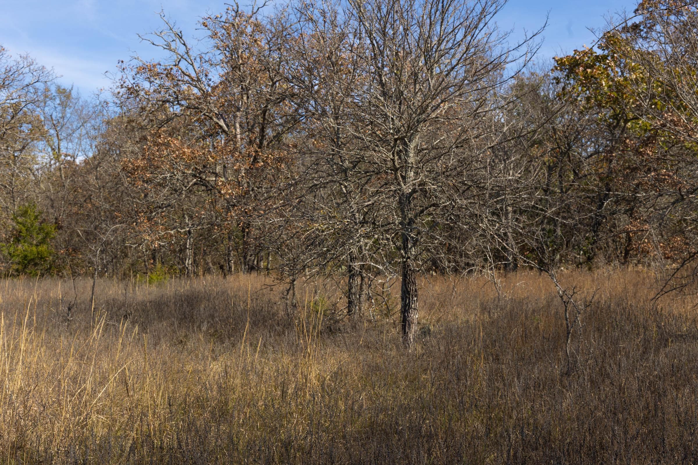 Harmony Hills — Zero Credit Land owner financed land for sale in Pittsburg County, Oklahoma photo 52