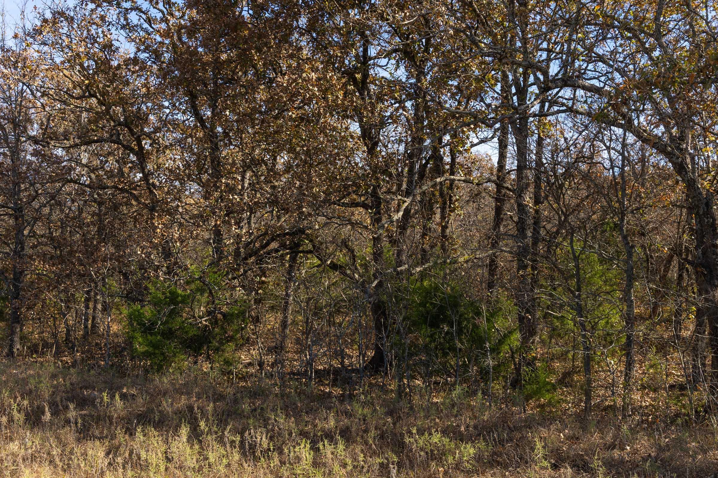 Harmony Hills — Zero Credit Land owner financed land for sale in Pittsburg County, Oklahoma photo 50