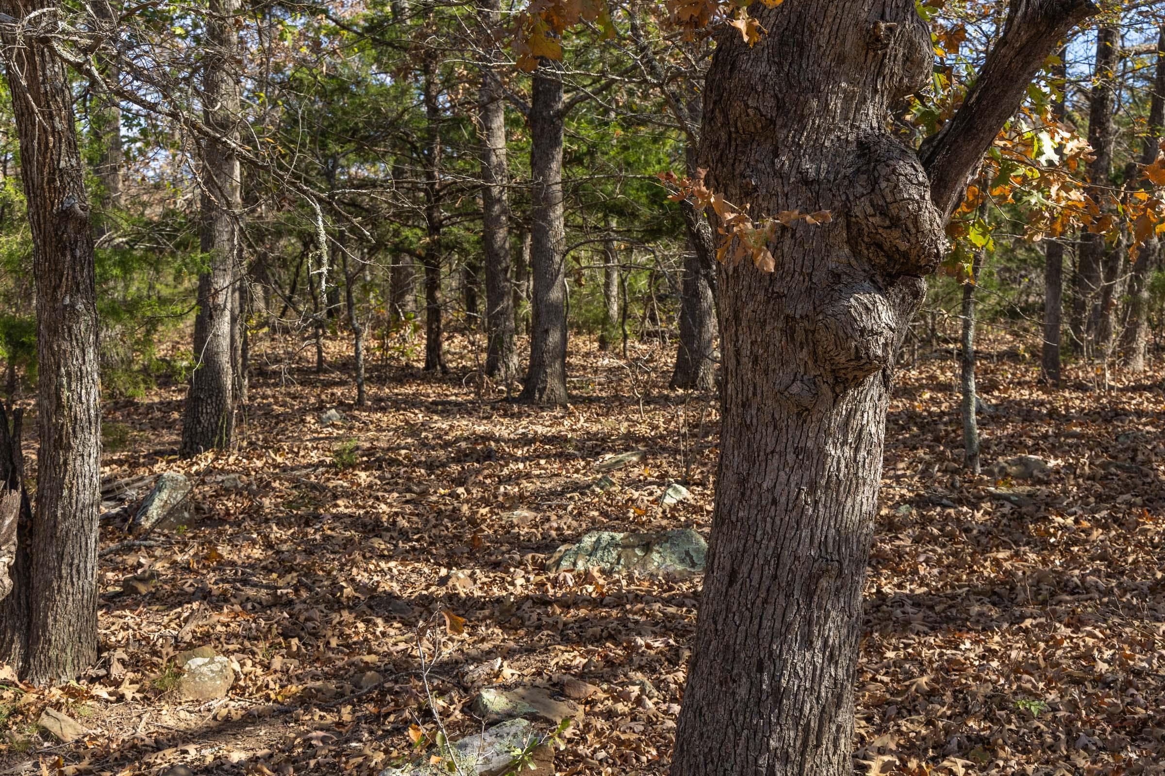 Harmony Hills — Zero Credit Land owner financed land for sale in Pittsburg County, Oklahoma photo 105