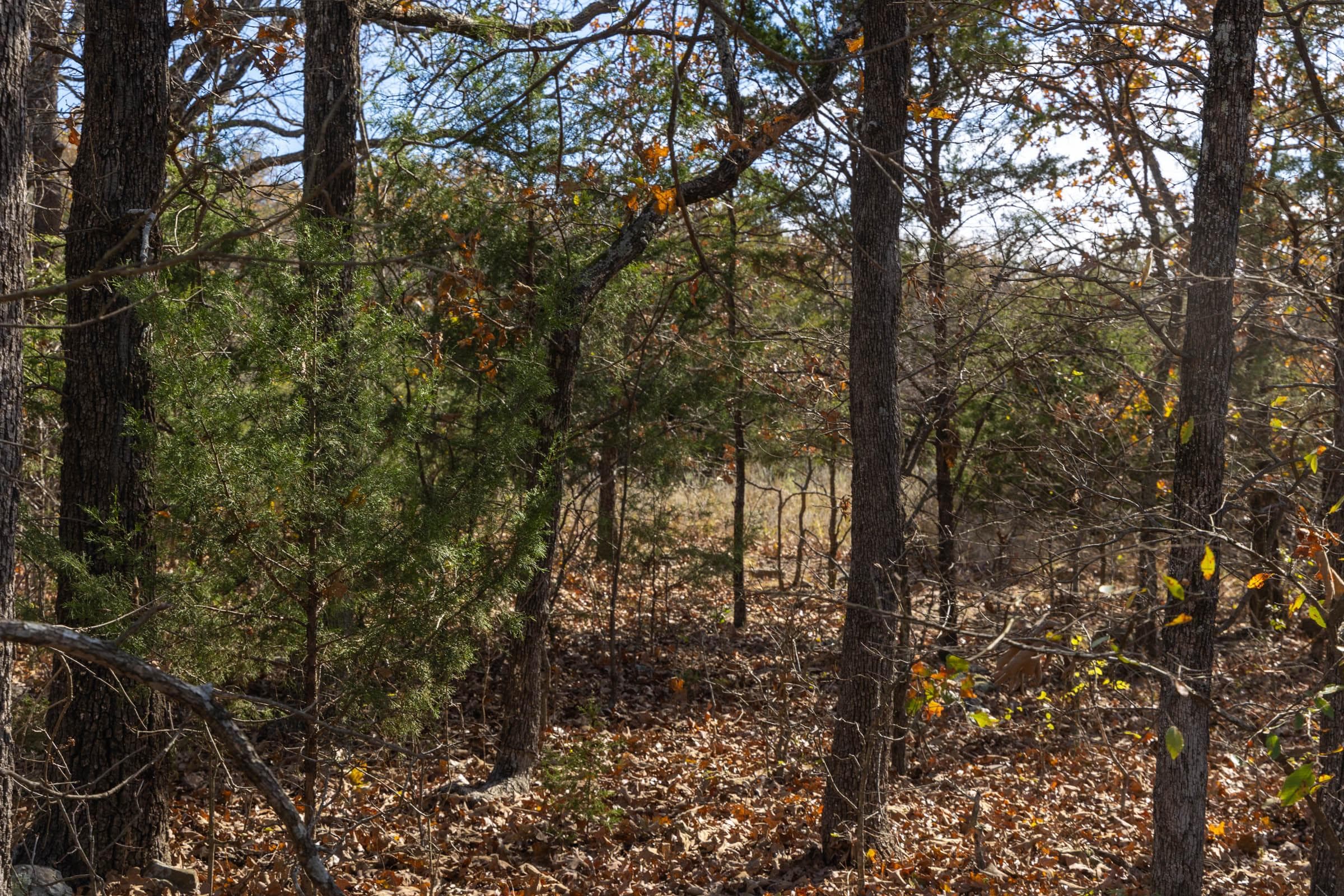 Harmony Hills — Zero Credit Land owner financed land for sale in Pittsburg County, Oklahoma photo 110