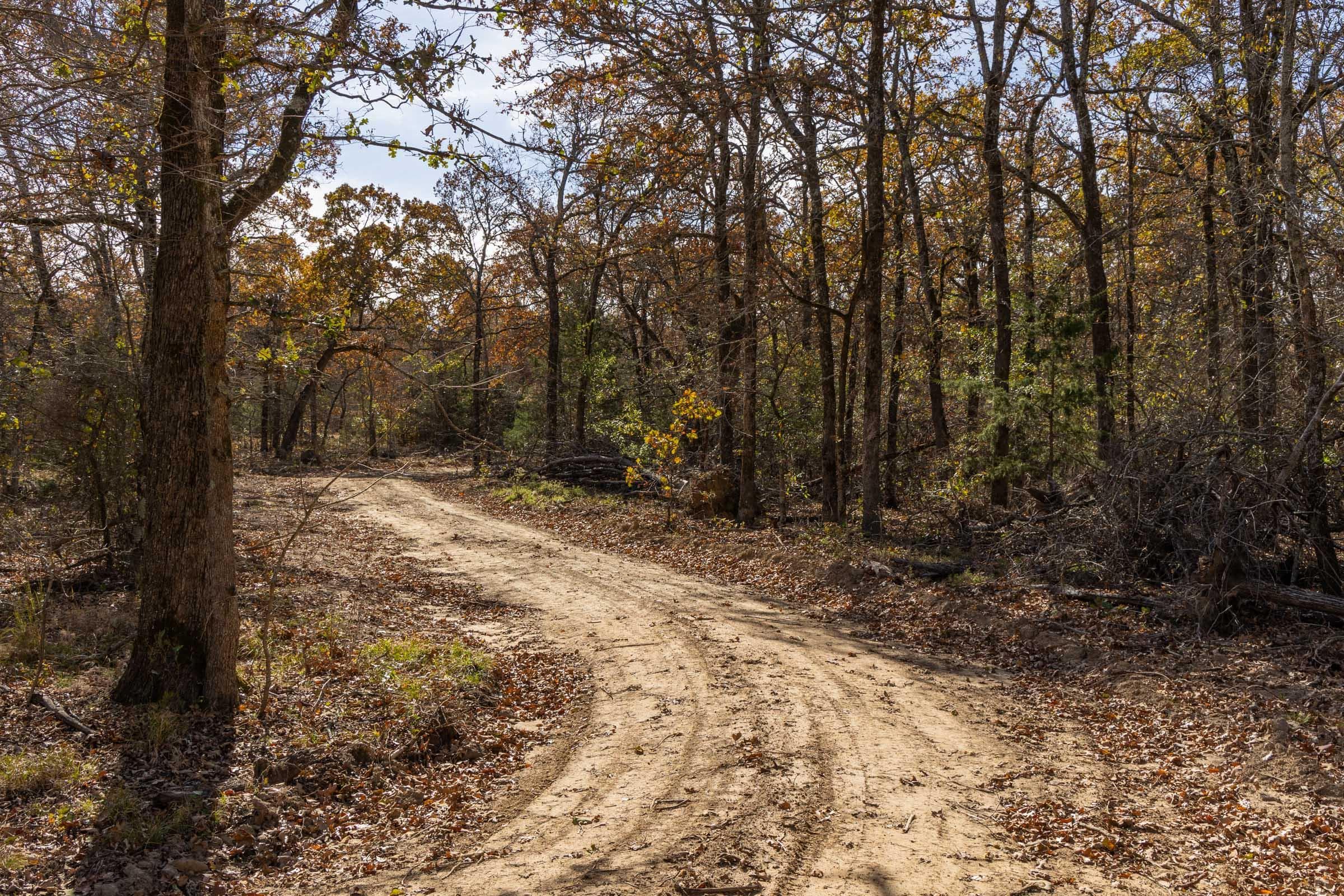 Harmony Hills — Zero Credit Land owner financed land for sale in Pittsburg County, Oklahoma photo 70