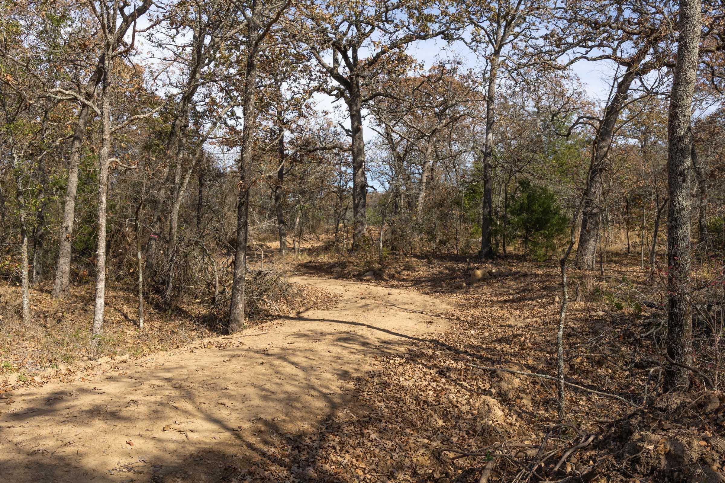 Harmony Hills — Zero Credit Land owner financed land for sale in Pittsburg County, Oklahoma photo 71
