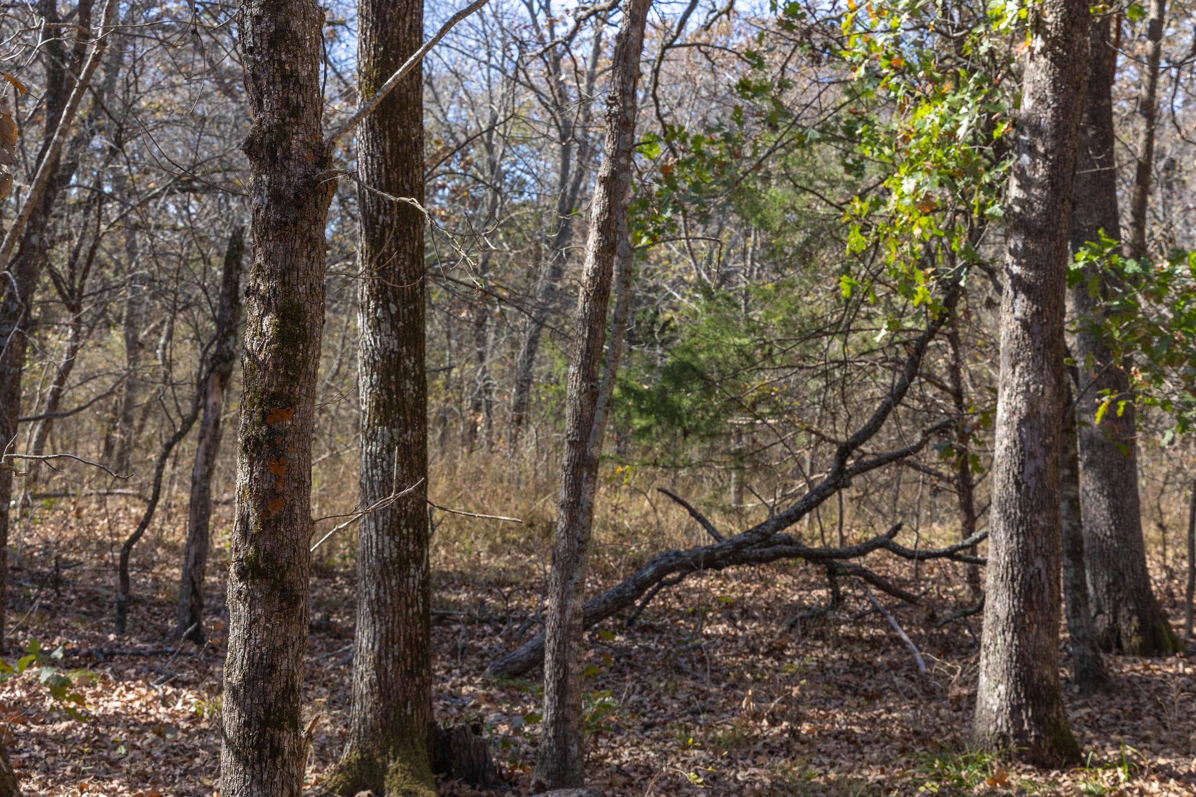 Harmony Hills — Zero Credit Land owner financed land for sale in Pittsburg County, Oklahoma photo 68