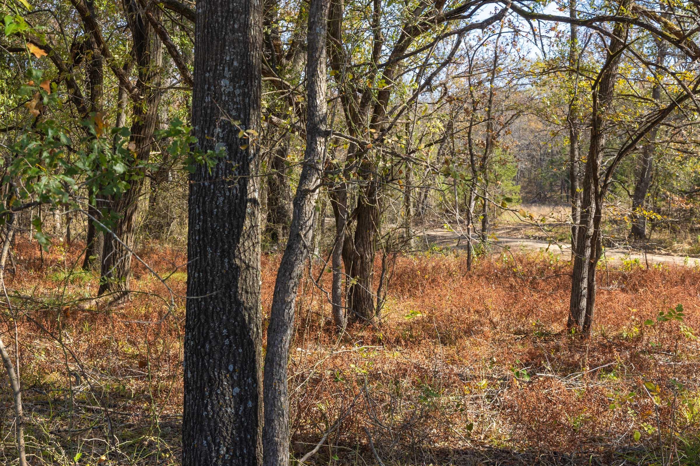 Harmony Hills — Zero Credit Land owner financed land for sale in Pittsburg County, Oklahoma photo 76