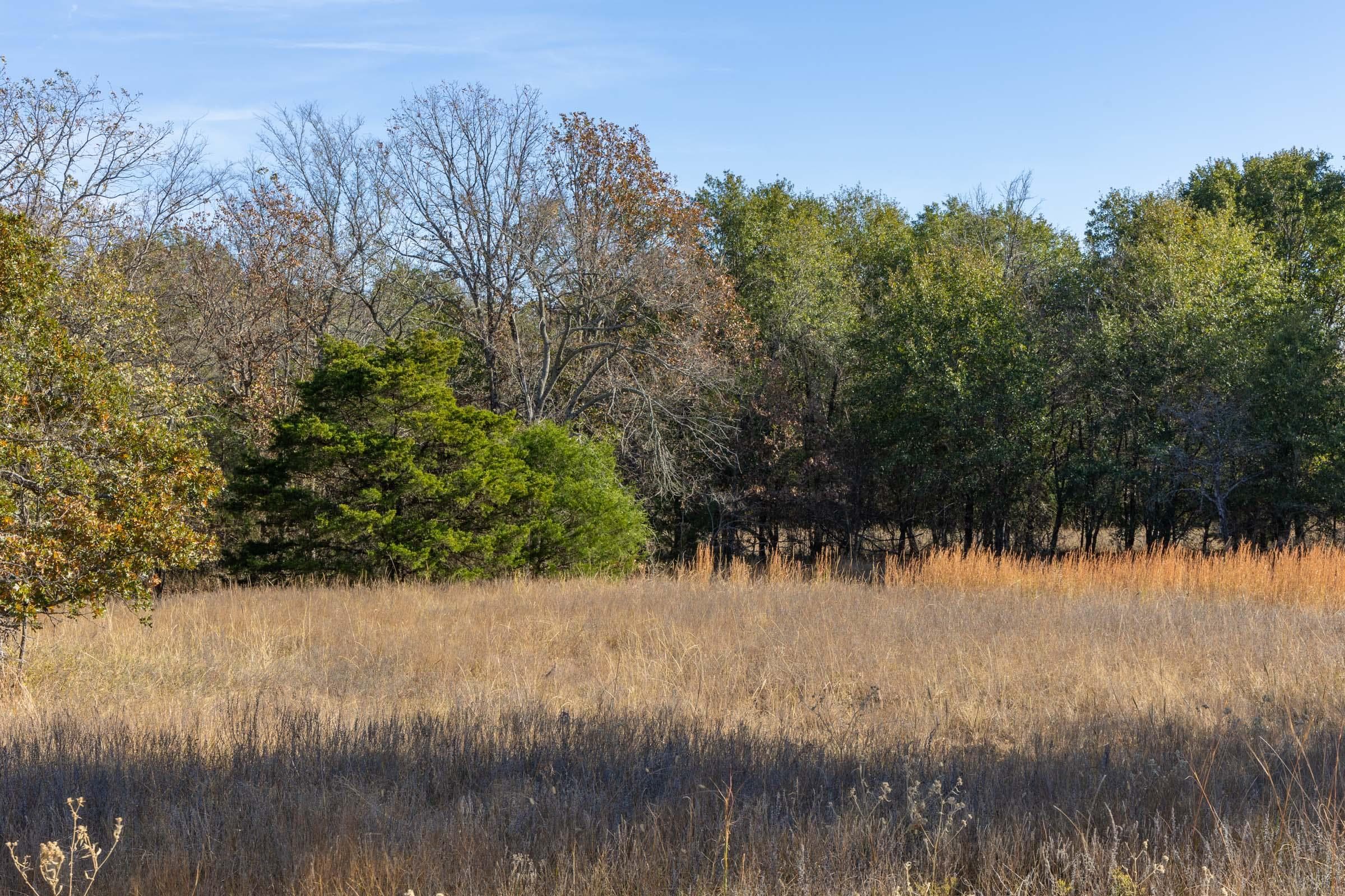 Harmony Hills — Zero Credit Land owner financed land for sale in Pittsburg County, Oklahoma photo 75