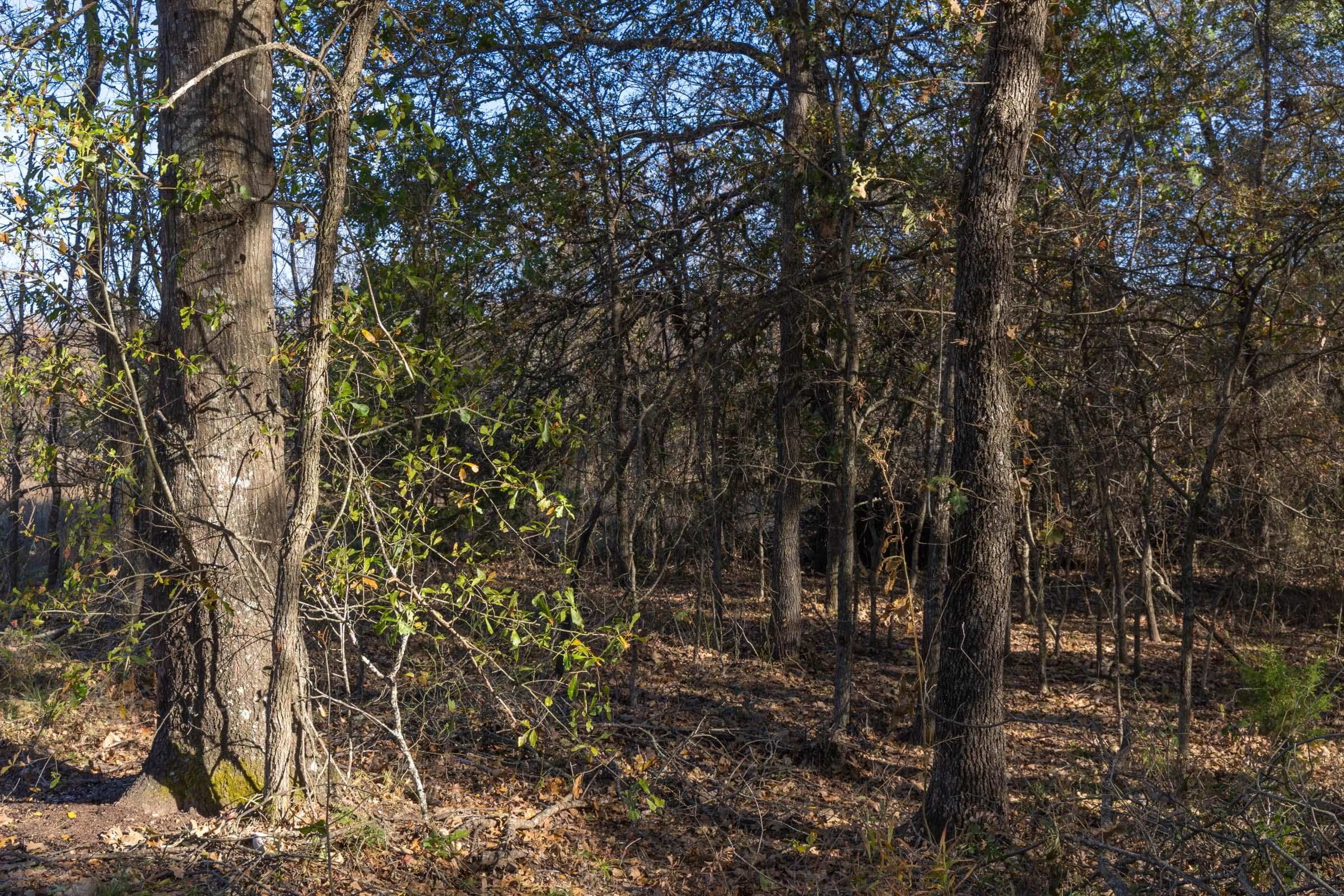 Harmony Hills — Zero Credit Land owner financed land for sale in Pittsburg County, Oklahoma photo 67