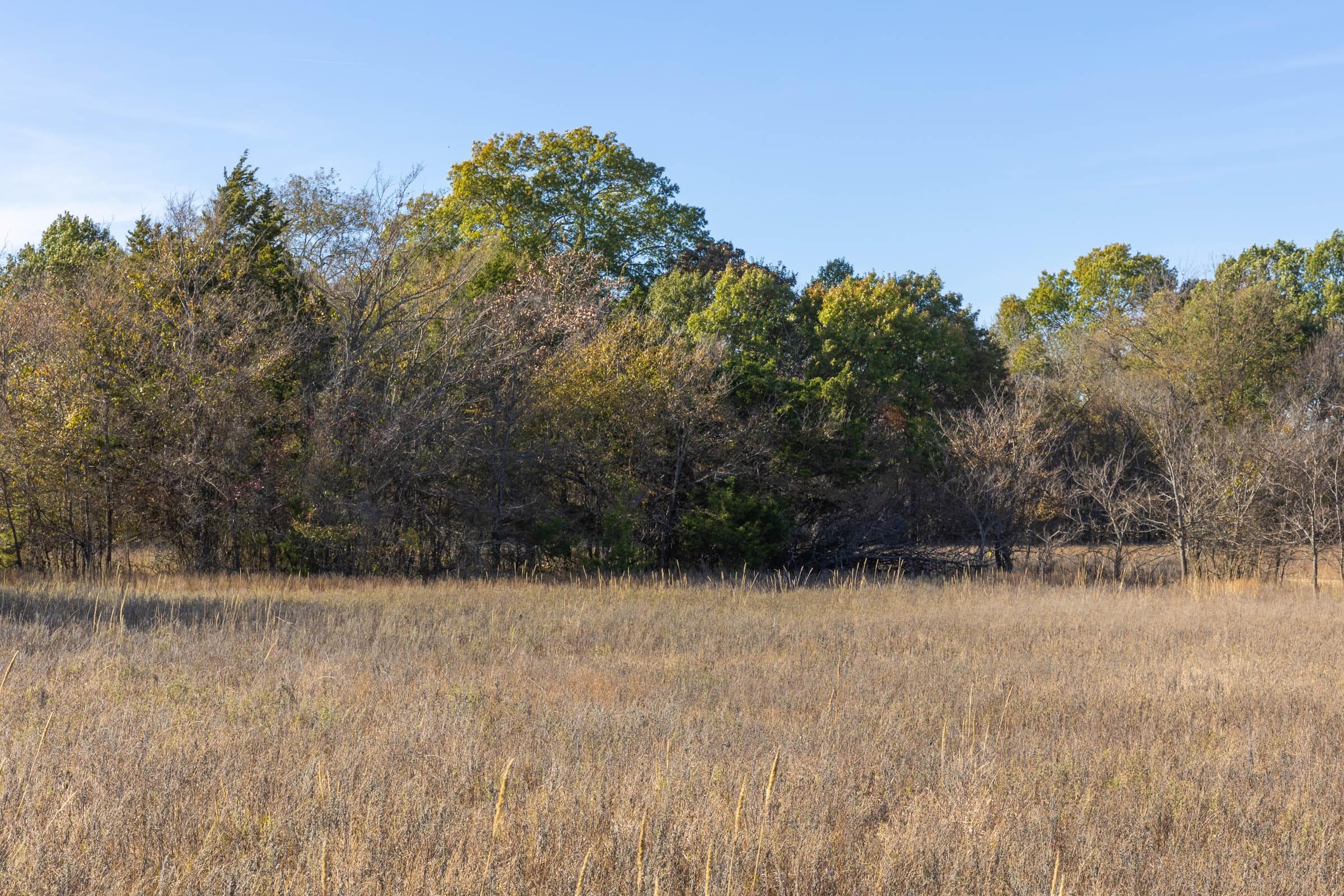 Harmony Hills — Zero Credit Land owner financed land for sale in Pittsburg County, Oklahoma photo 61