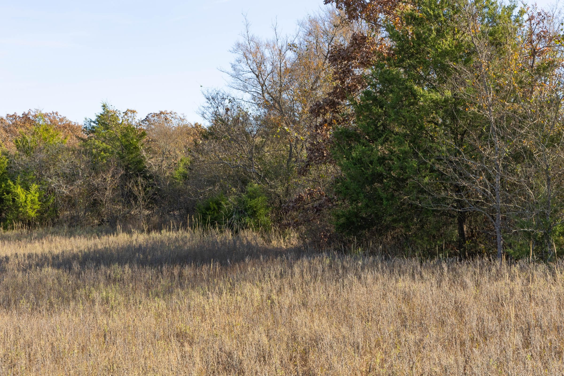 Harmony Hills — Zero Credit Land owner financed land for sale in Pittsburg County, Oklahoma photo 58