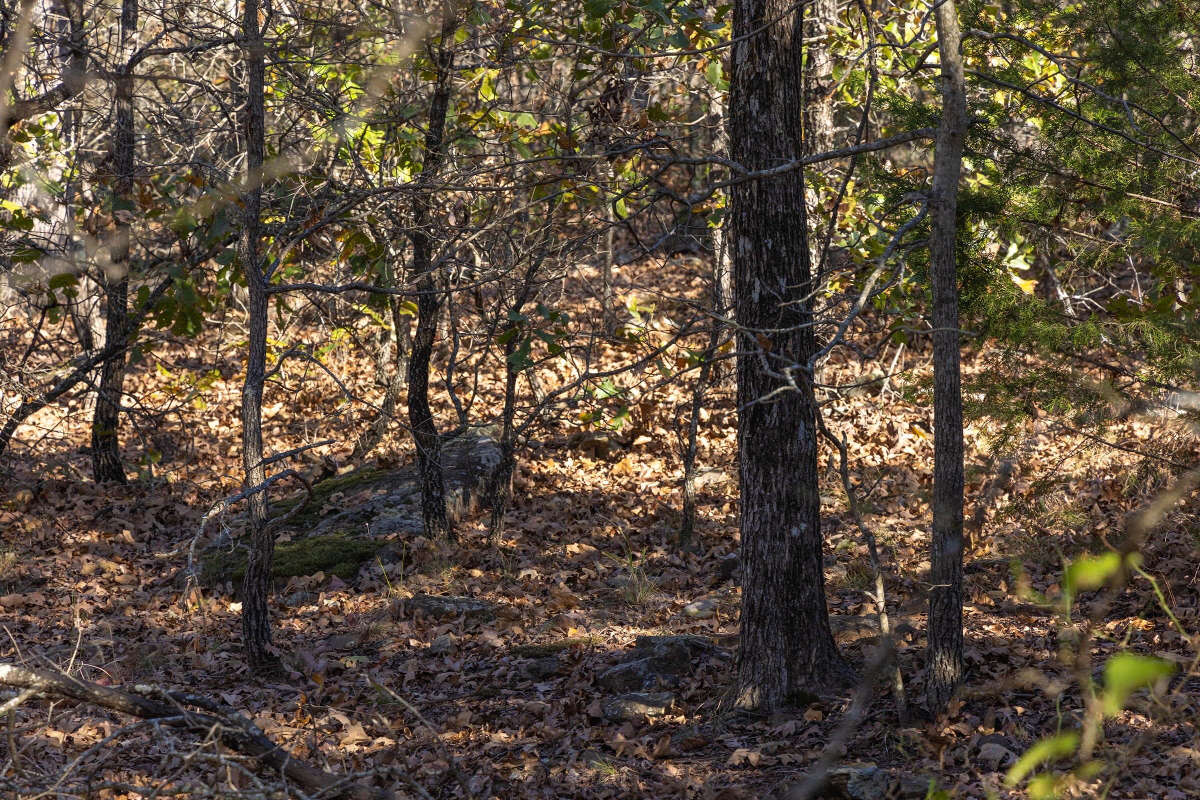 Harmony Hills — Zero Credit Land owner financed land for sale in Pittsburg County, Oklahoma photo 116
