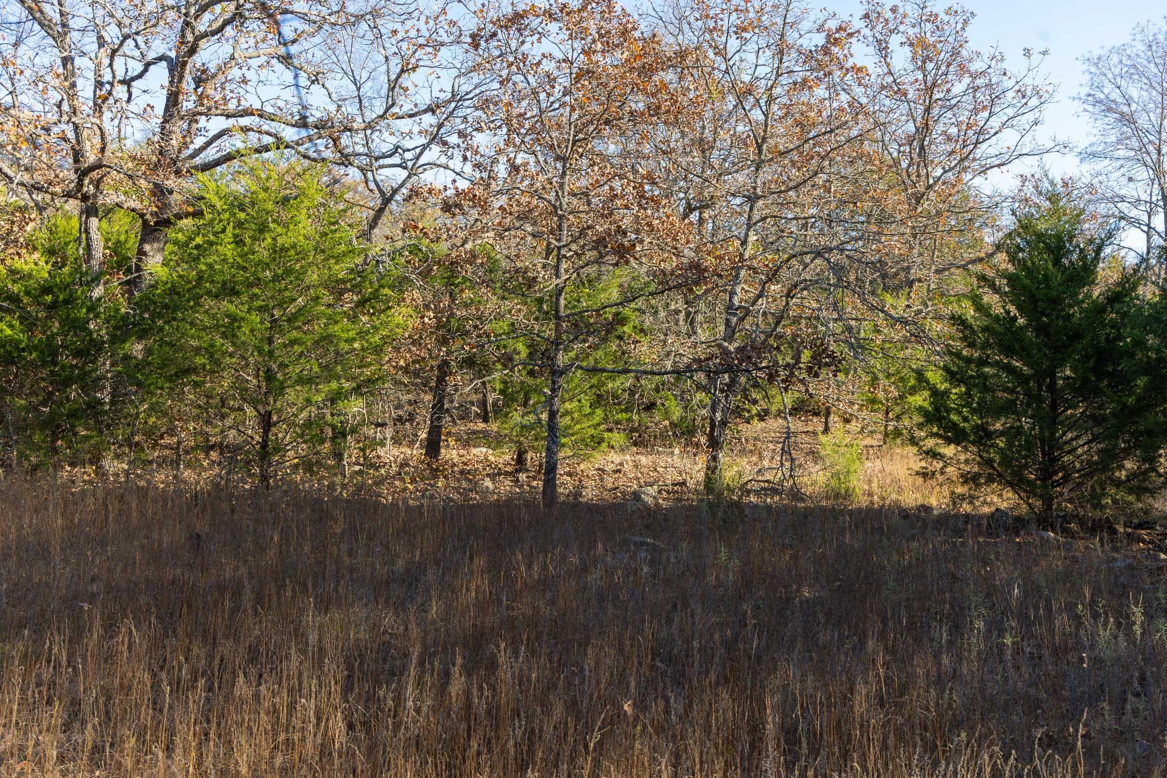 Harmony Hills — Zero Credit Land owner financed land for sale in Pittsburg County, Oklahoma photo 120