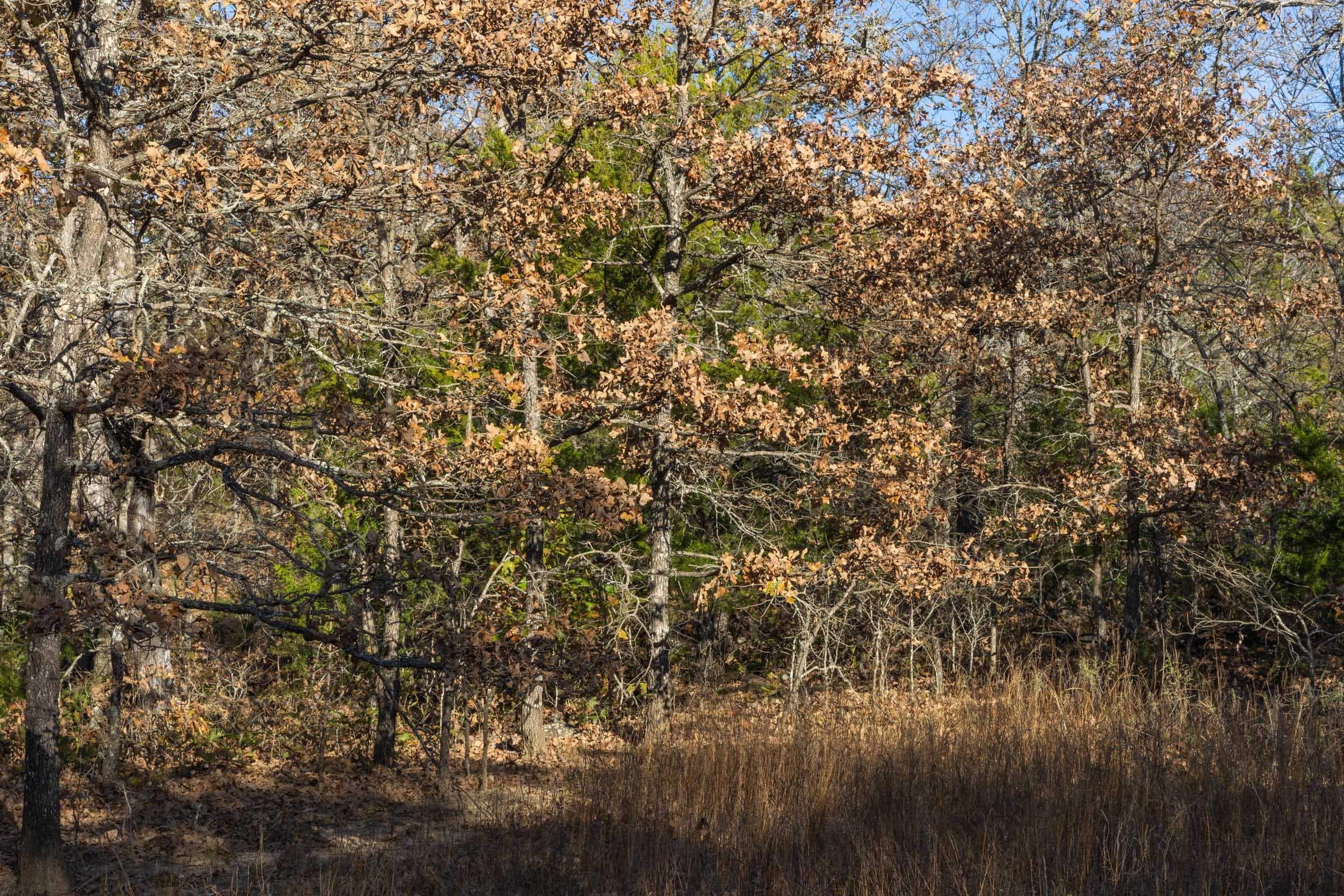 Harmony Hills — Zero Credit Land owner financed land for sale in Pittsburg County, Oklahoma photo 121