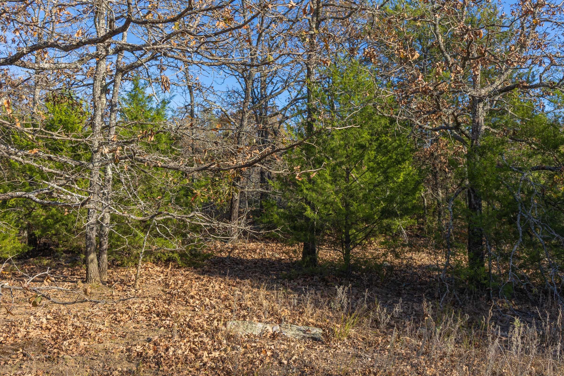 Harmony Hills — Zero Credit Land owner financed land for sale in Pittsburg County, Oklahoma photo 118
