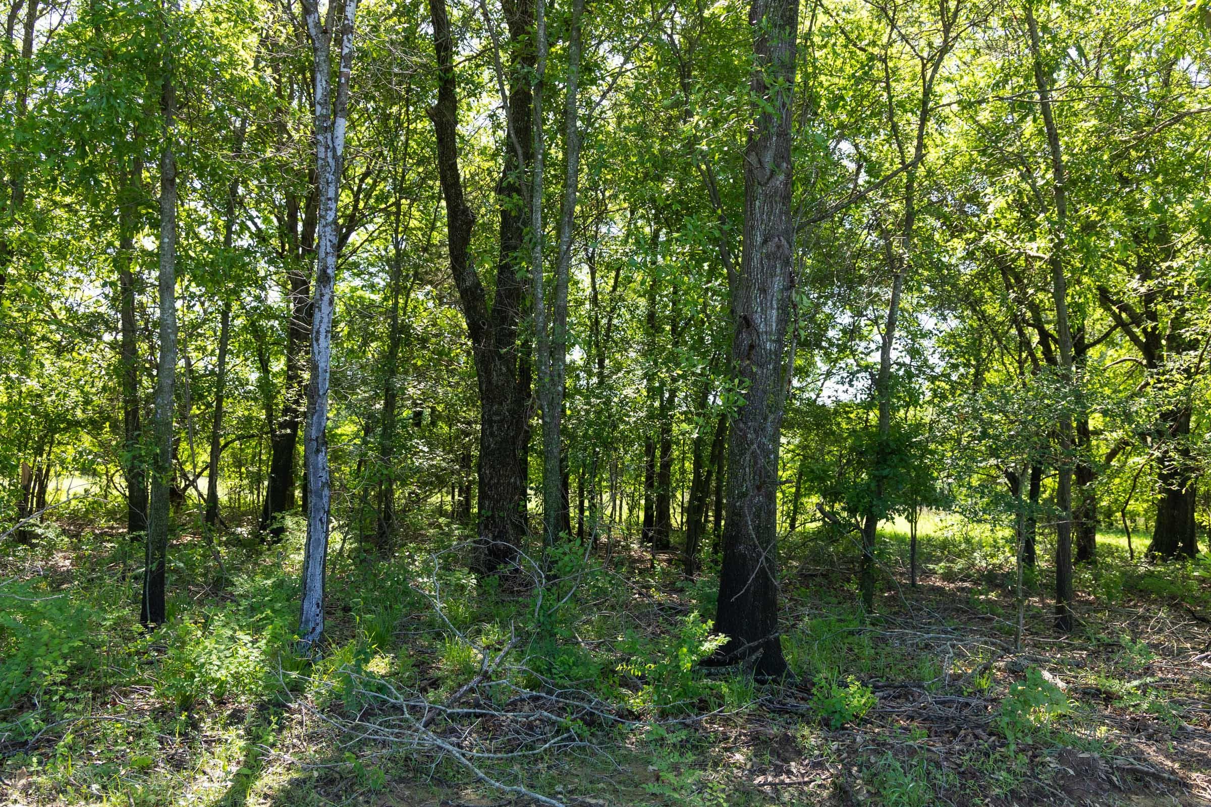 Harmony Hills — Zero Credit Land owner financed land for sale in Pittsburg County, Oklahoma photo 94