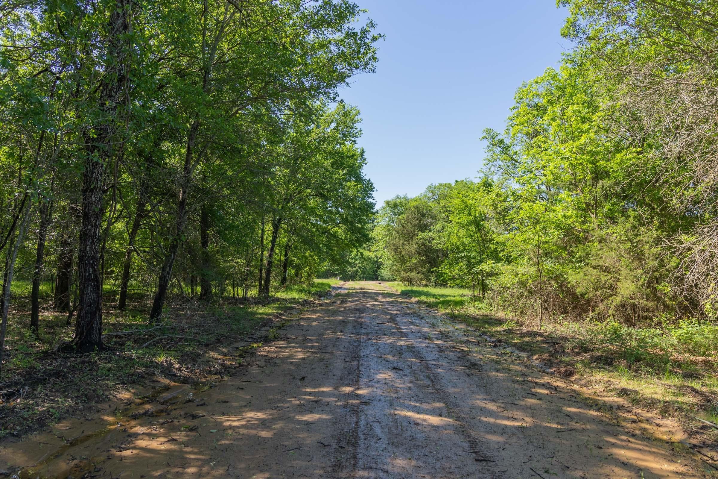 Harmony Hills — Zero Credit Land owner financed land for sale in Pittsburg County, Oklahoma photo 96
