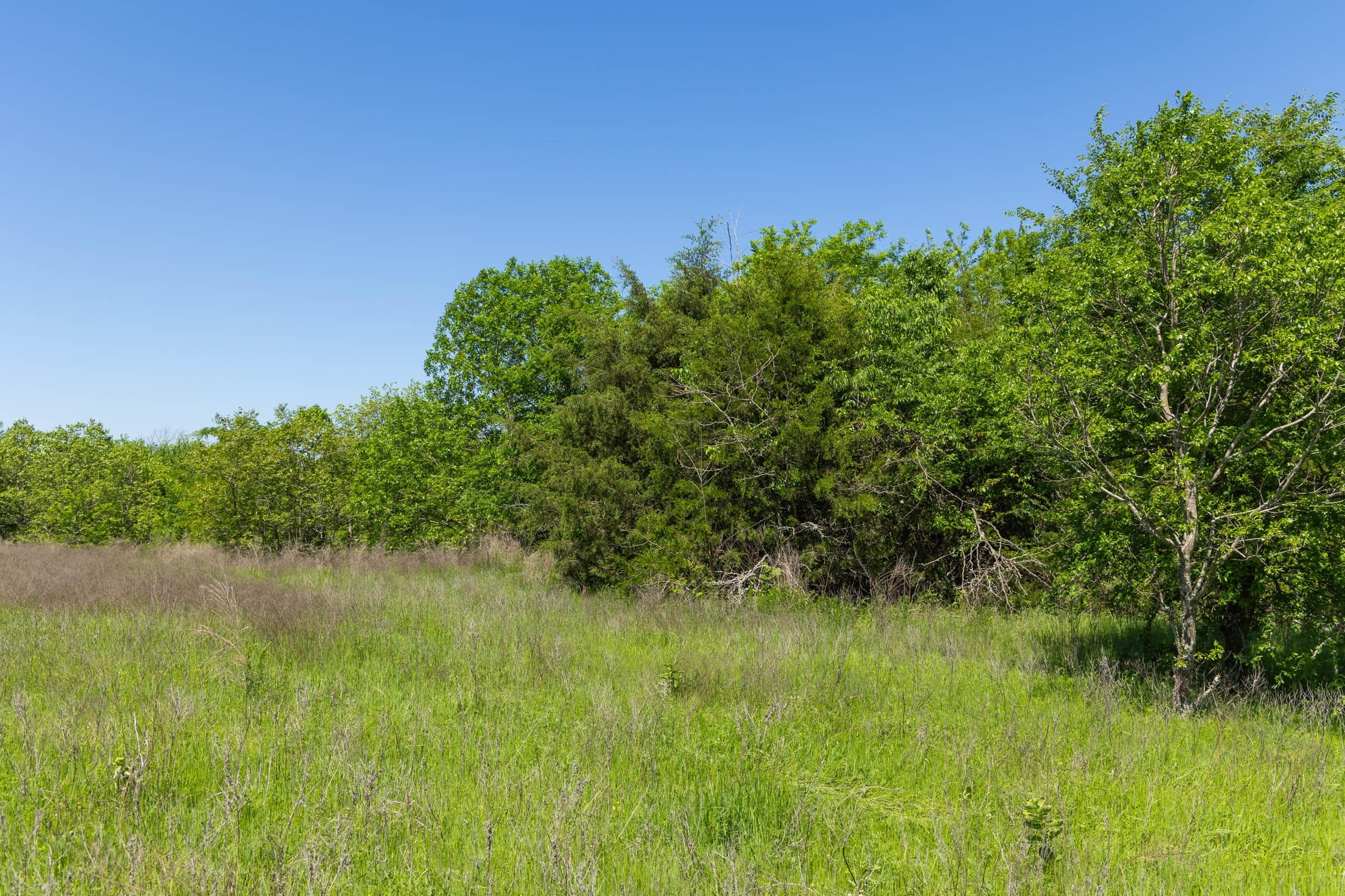 Harmony Hills — Zero Credit Land owner financed land for sale in Pittsburg County, Oklahoma photo 89