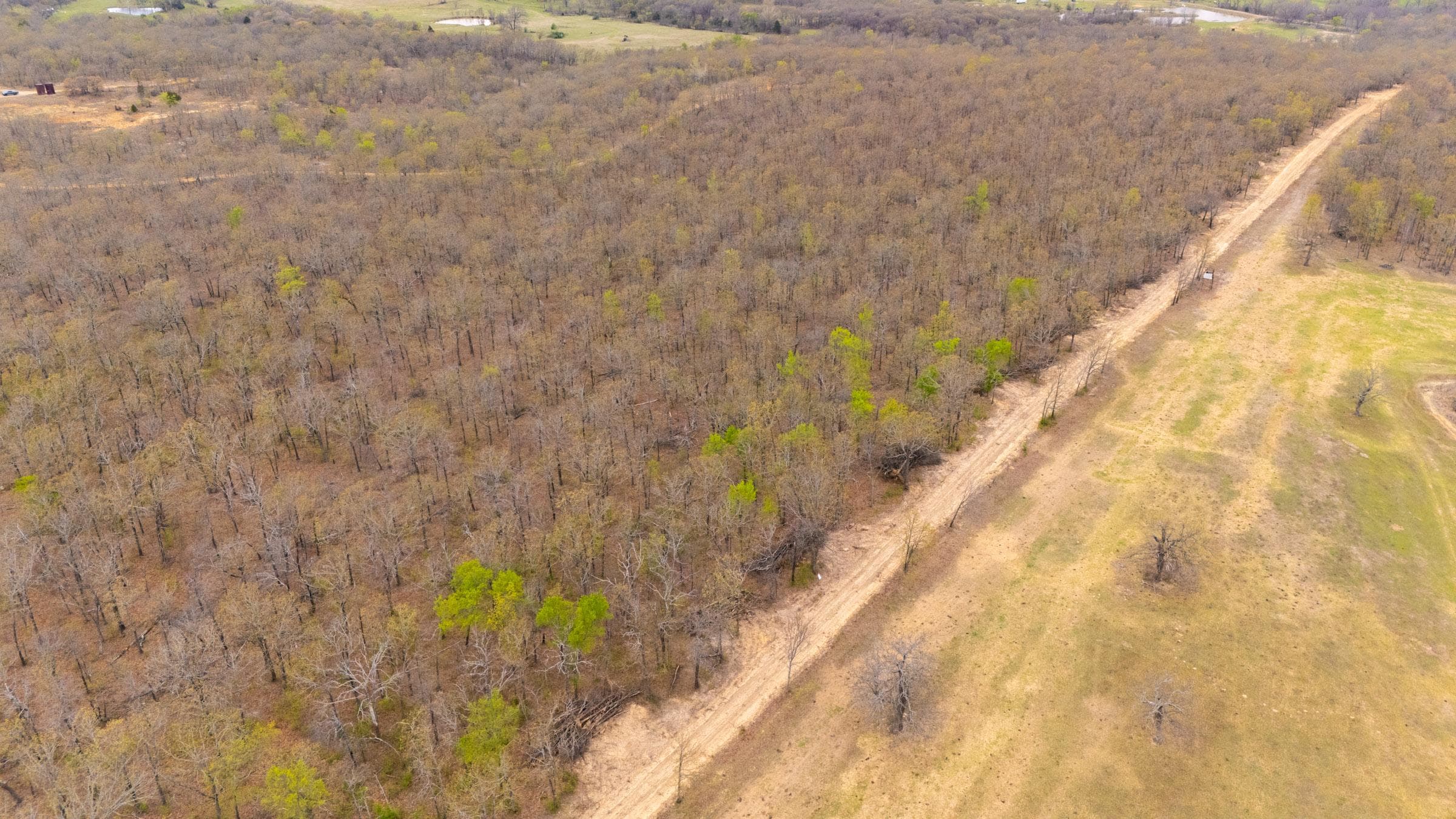 JLH Estates — Zero Credit Land owner financed land for sale in Okfuskee County, Oklahoma photo 3