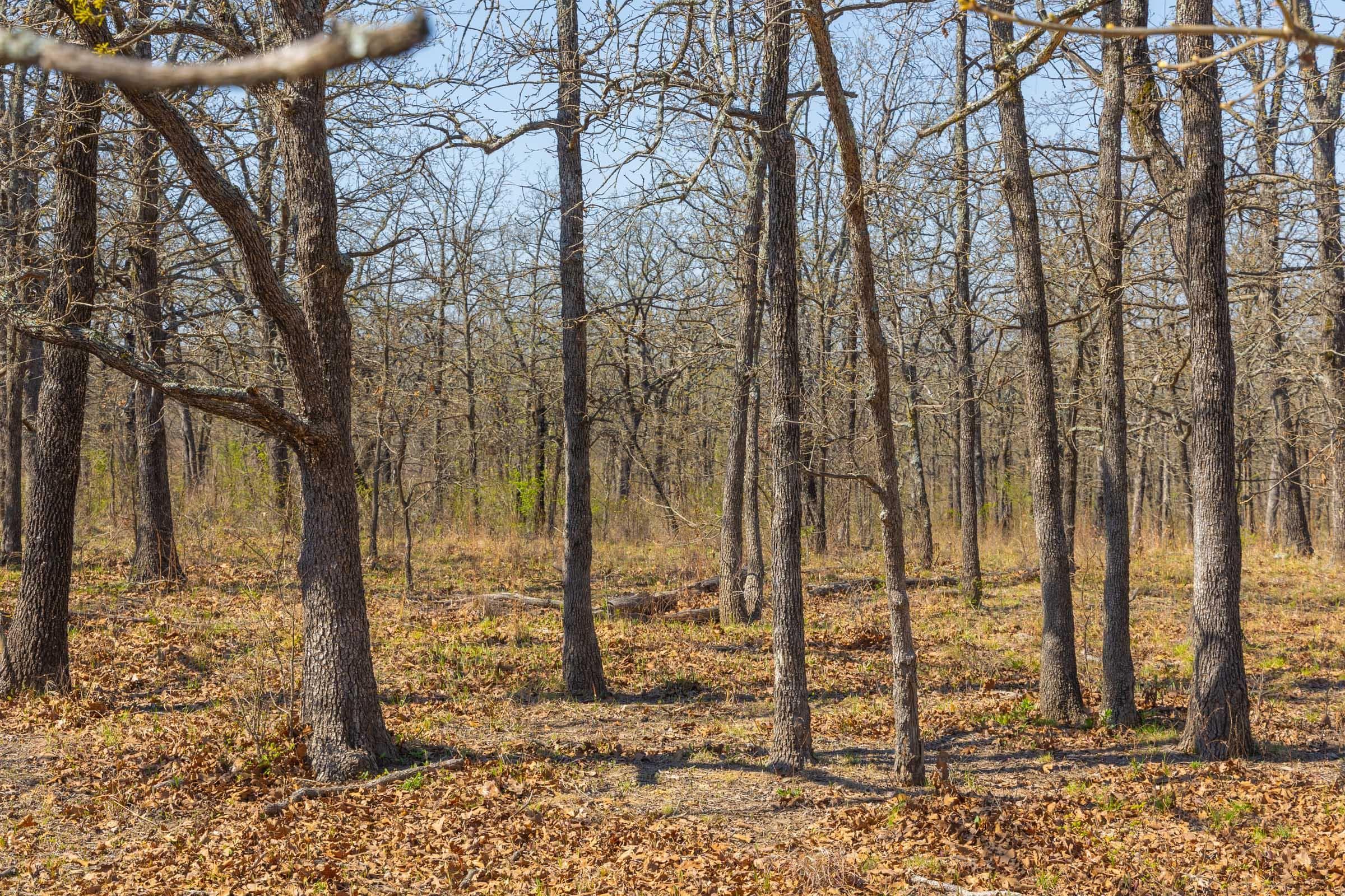 JLH Estates — Zero Credit Land owner financed land for sale in Okfuskee County, Oklahoma