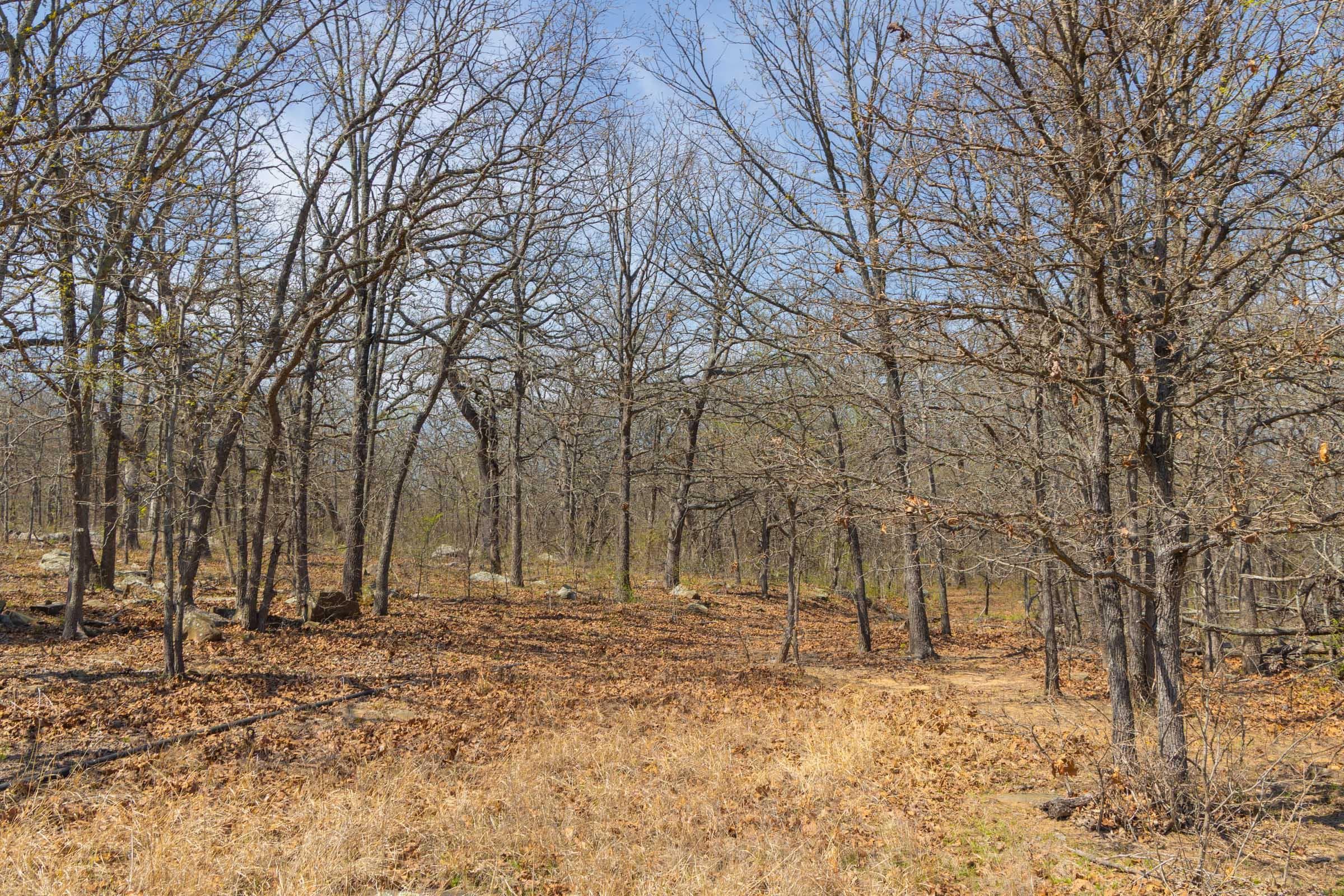 JLH Estates — Zero Credit Land owner financed land for sale in Okfuskee County, Oklahoma photo 6