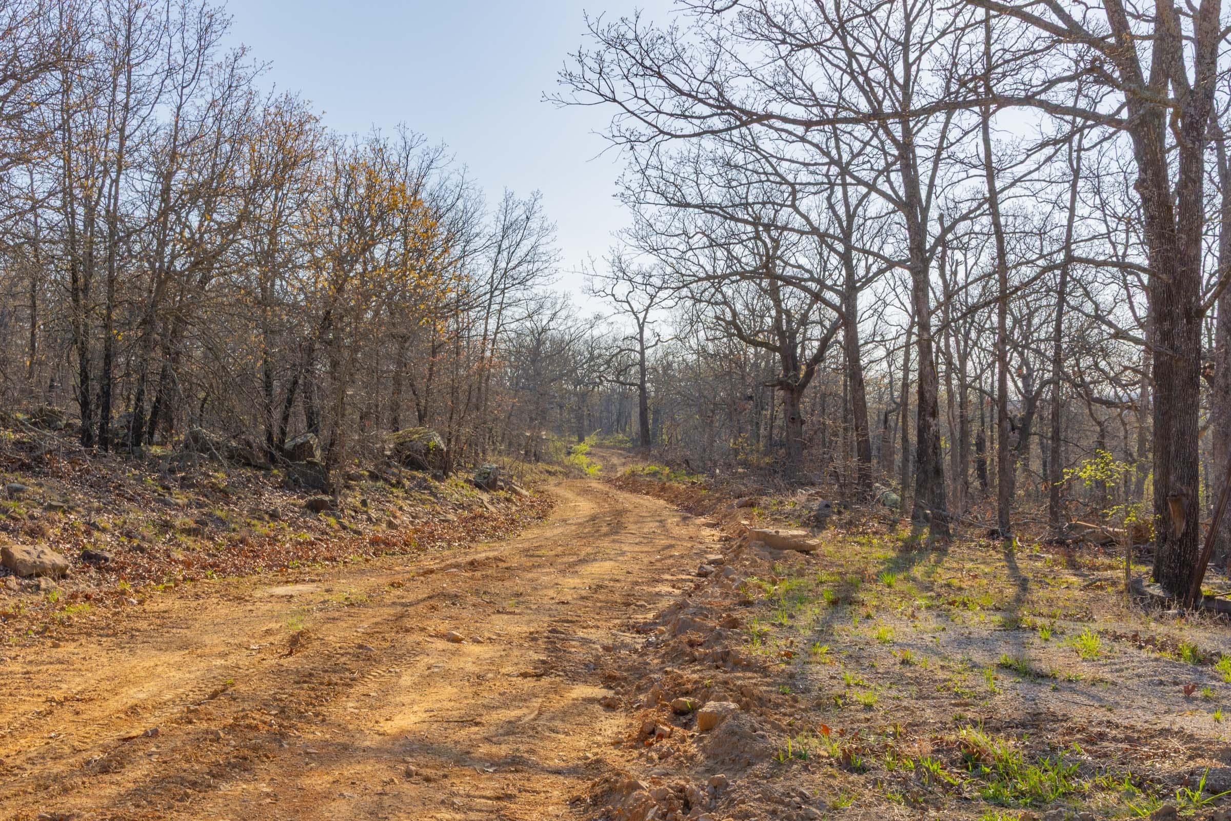 JLH Estates — Zero Credit Land owner financed land for sale in Okfuskee County, Oklahoma photo 93
