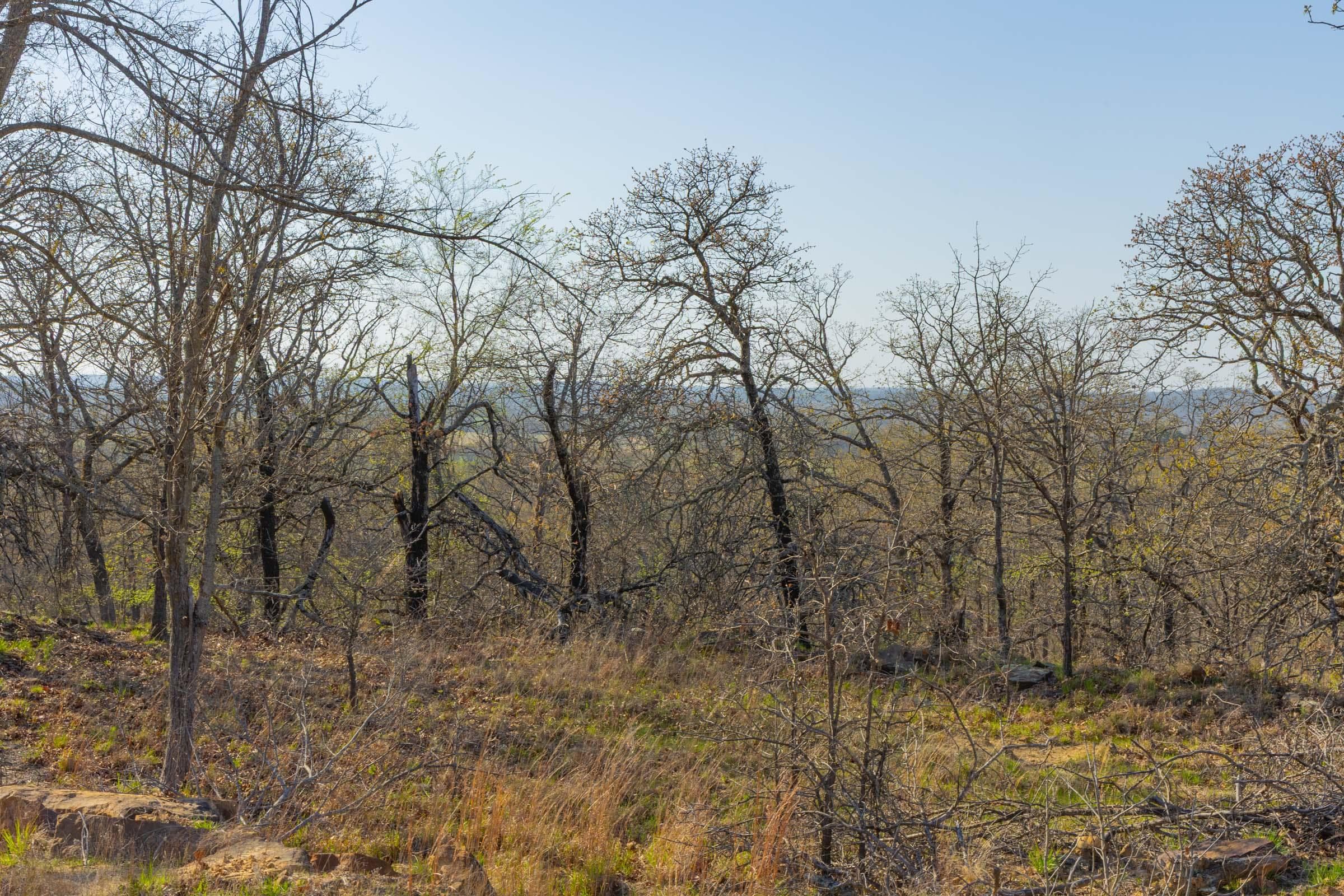 JLH Estates — Zero Credit Land owner financed land for sale in Okfuskee County, Oklahoma photo 95