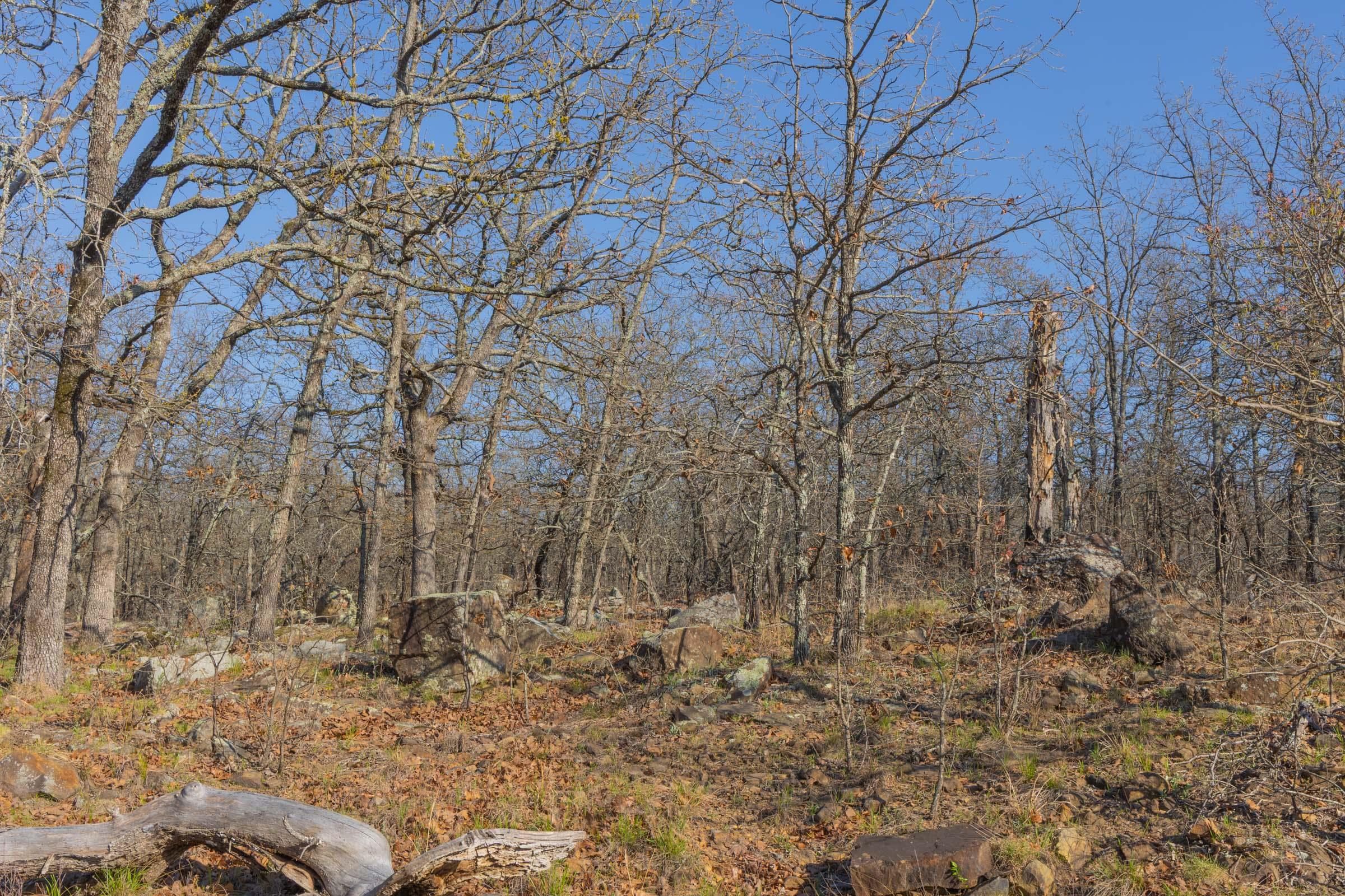 JLH Estates — Zero Credit Land owner financed land for sale in Okfuskee County, Oklahoma photo 97