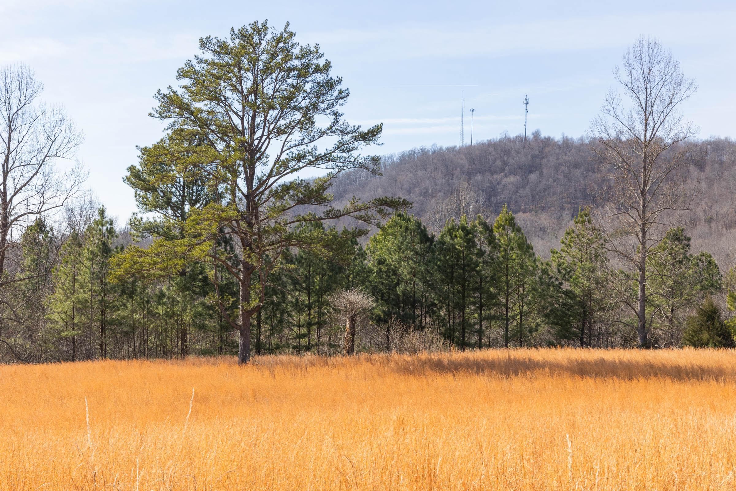 Jade Pass — Zero Credit Land owner financed land for sale in Whitley County, Kentucky photo 194