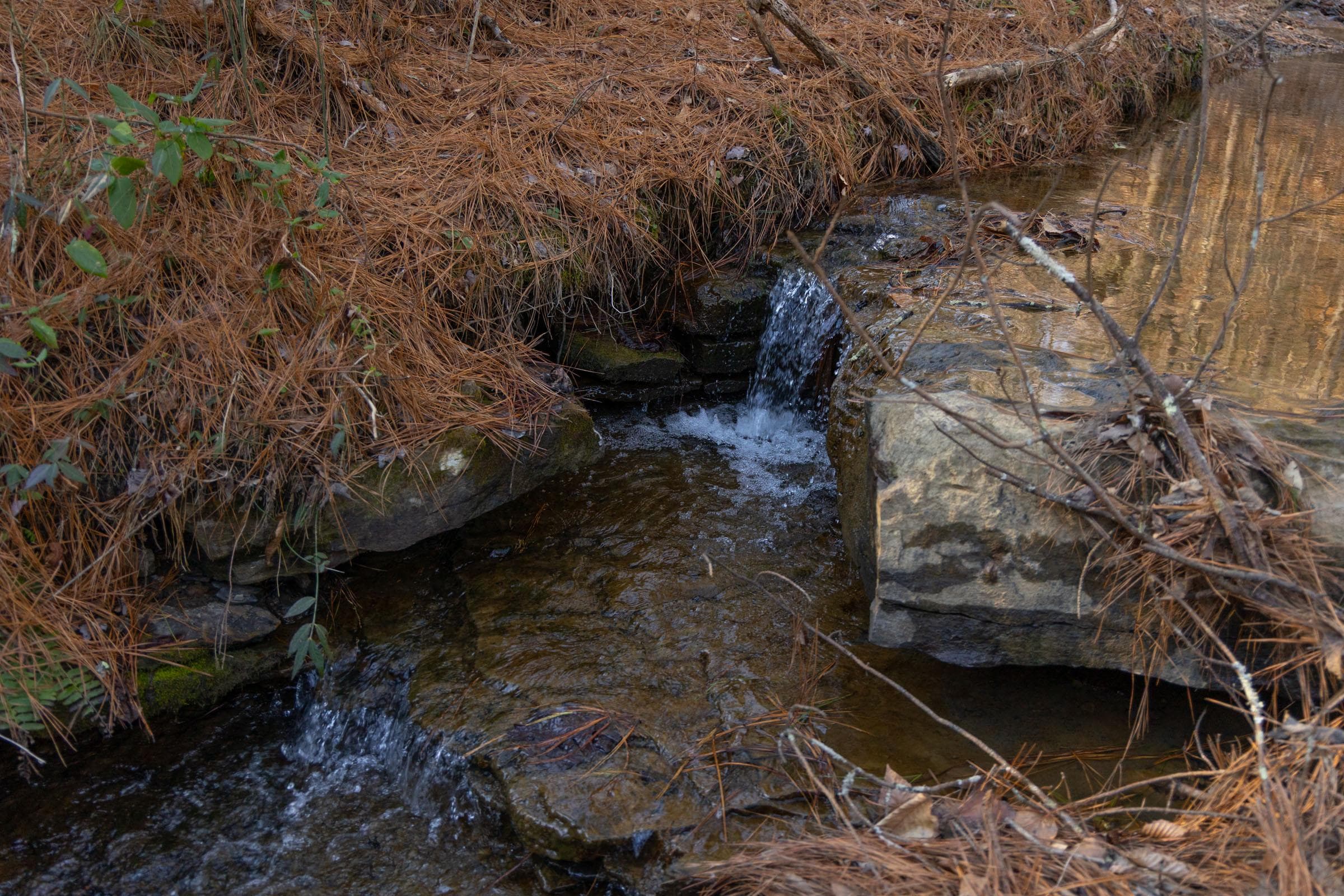 Jade Pass — Zero Credit Land owner financed land for sale in Whitley County, Kentucky photo 193