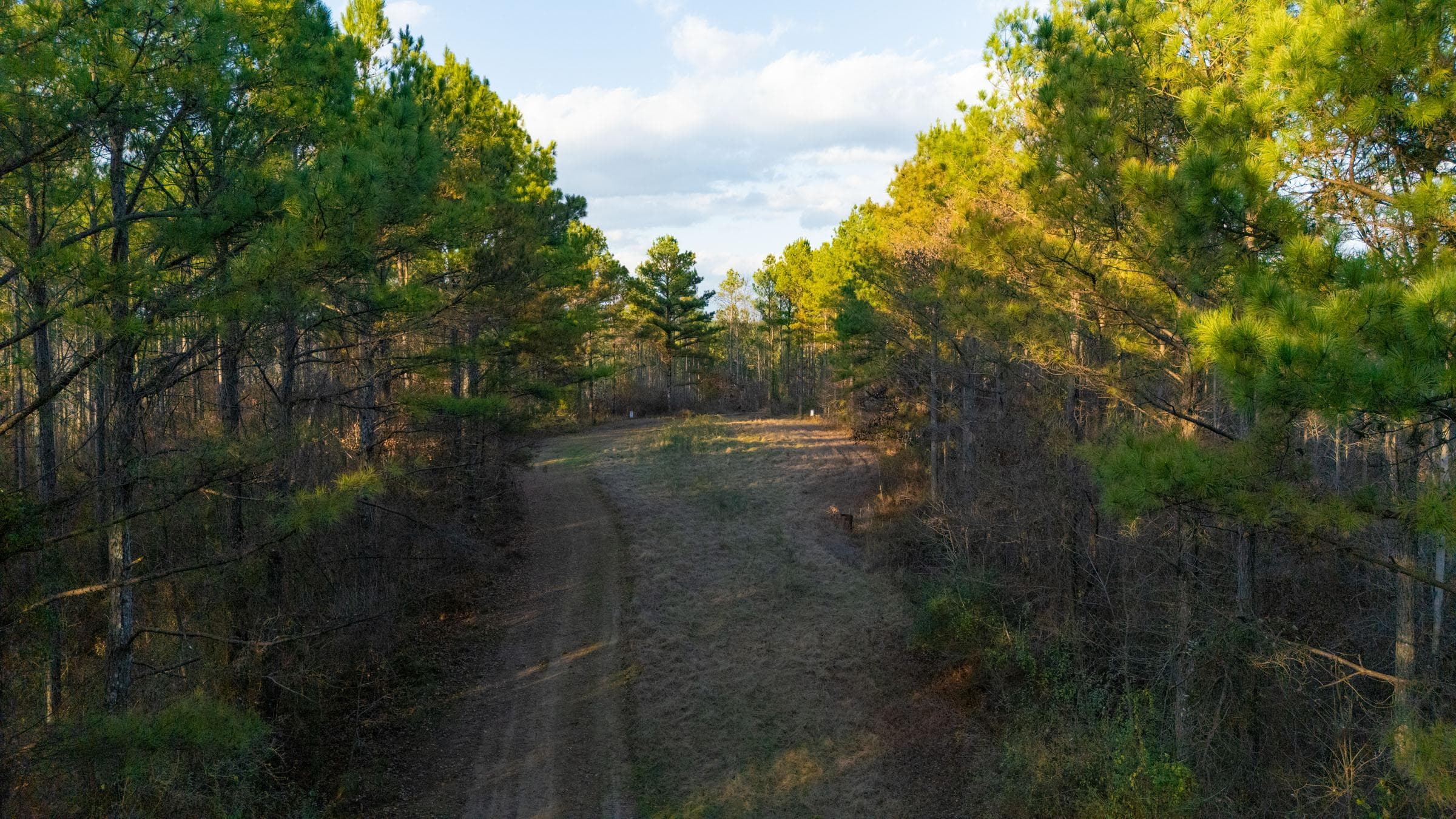 Lighting Ridge — Zero Credit Land owner financed land for sale in Colbert County, Alabama photo 65