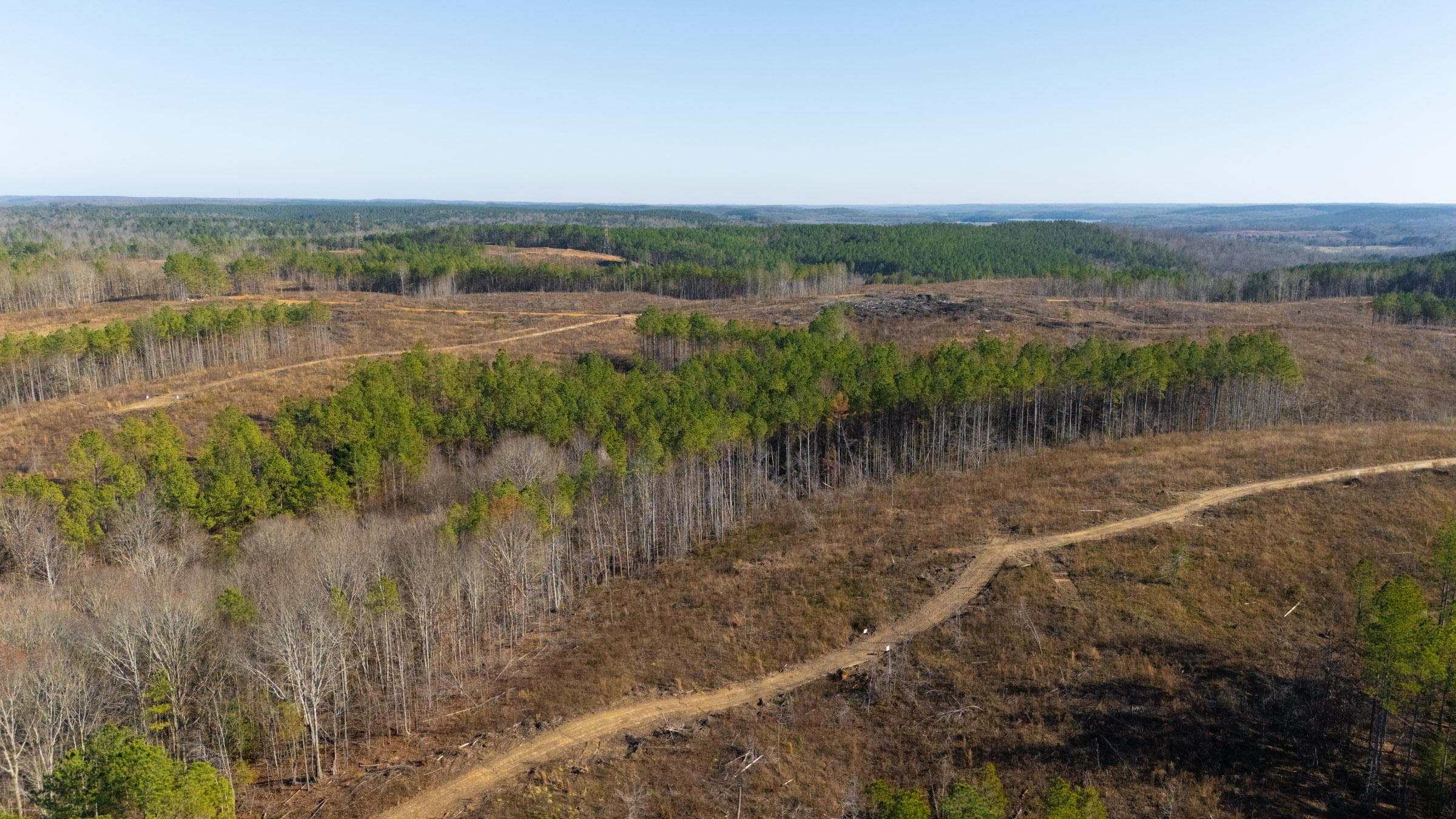 Lighting Ridge — Zero Credit Land owner financed land for sale in Colbert County, Alabama photo 34