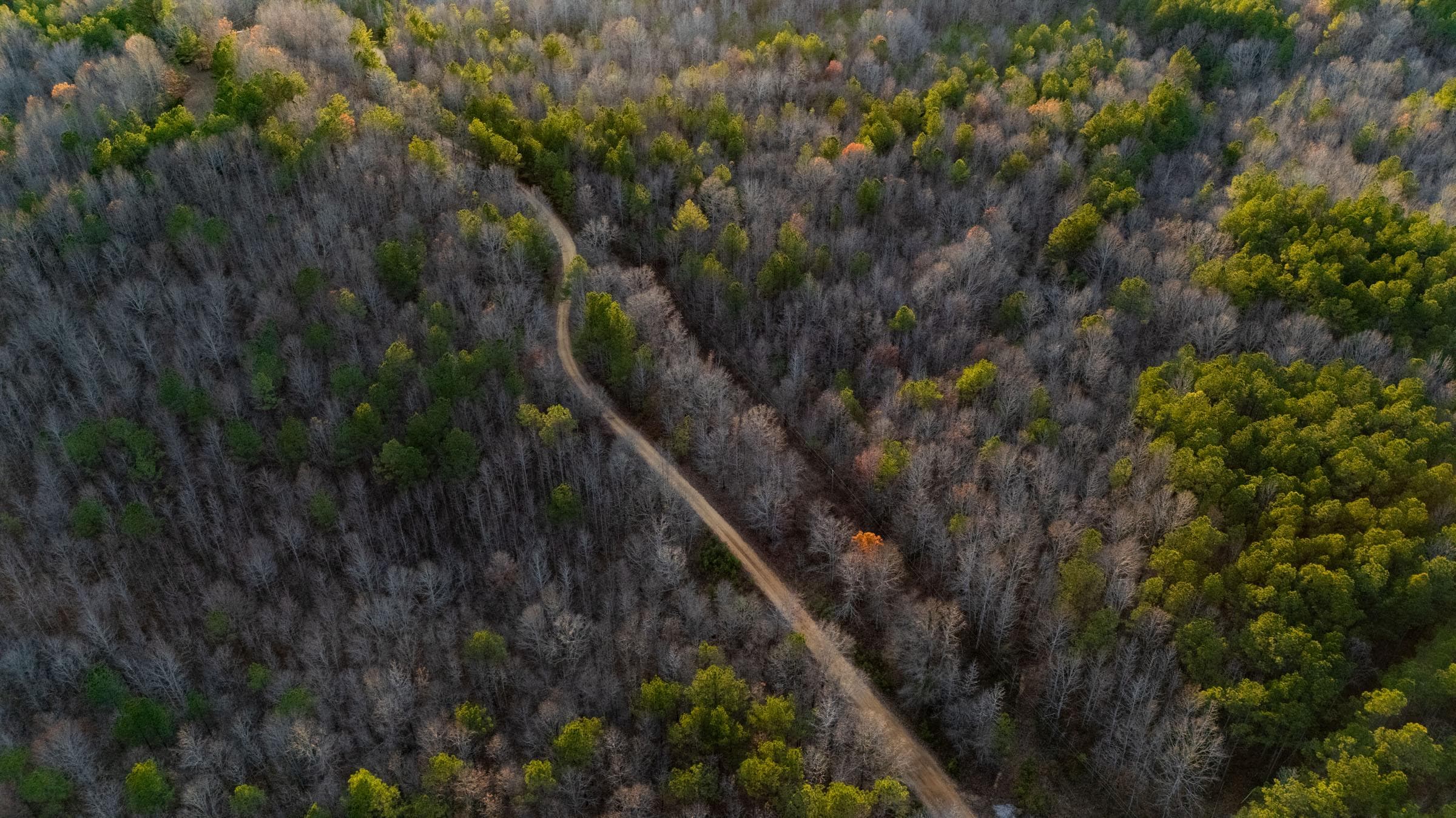 Lighting Ridge — Zero Credit Land owner financed land for sale in Colbert County, Alabama photo 30