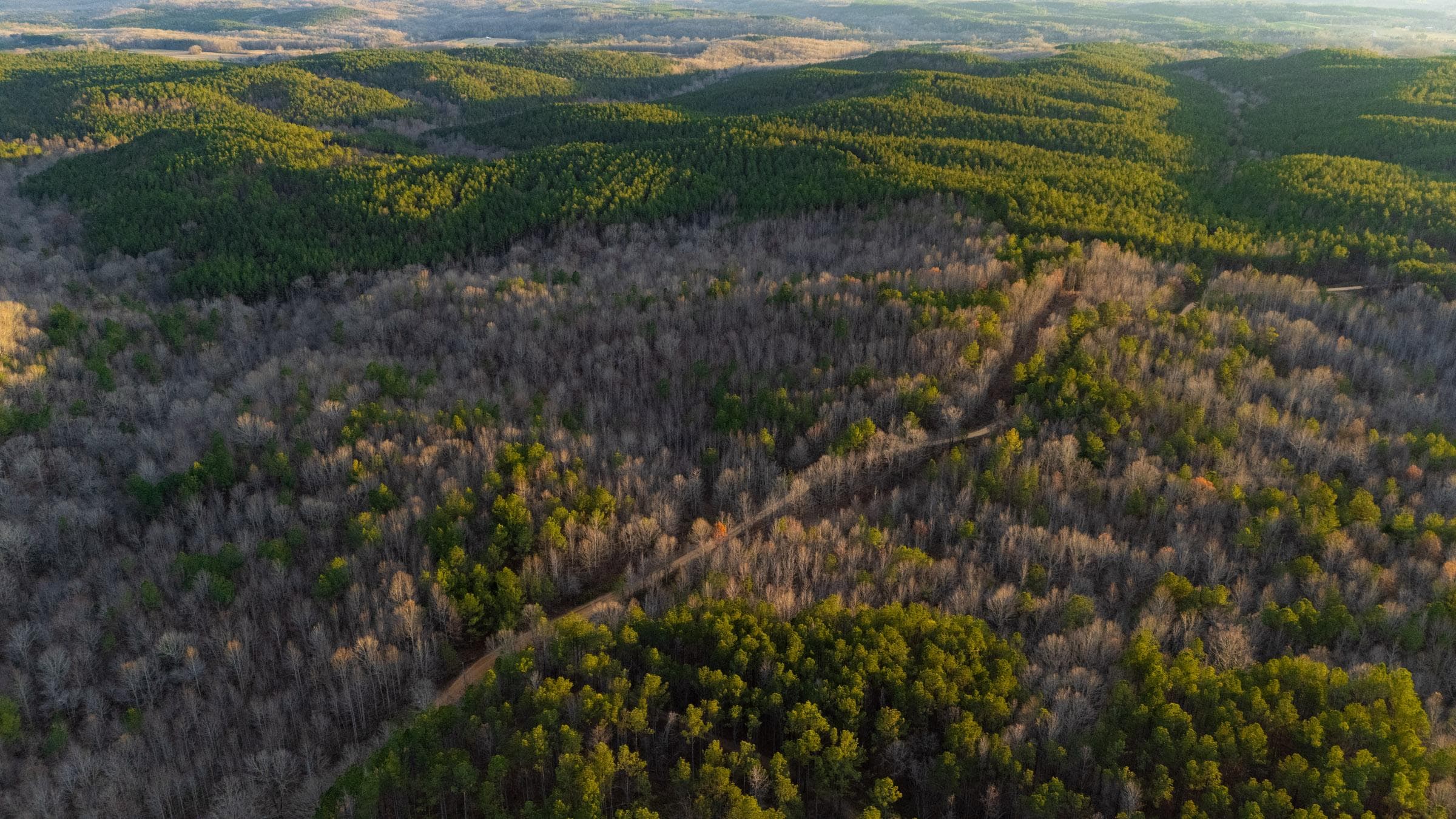 Lighting Ridge — Zero Credit Land owner financed land for sale in Colbert County, Alabama photo 57