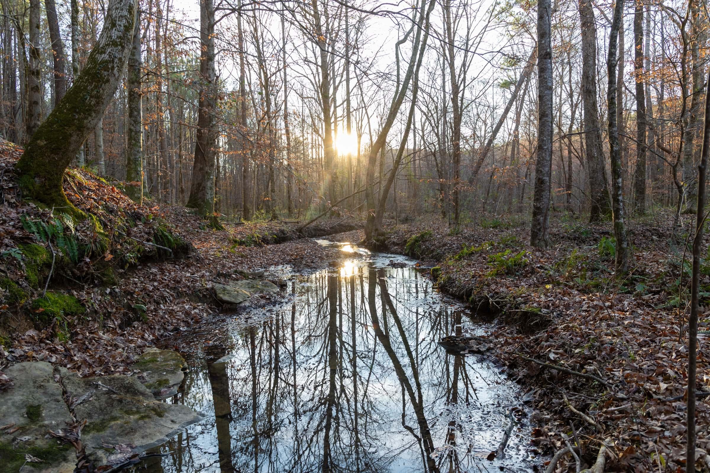 Lighting Ridge — Zero Credit Land owner financed land for sale in Colbert County, Alabama photo 69