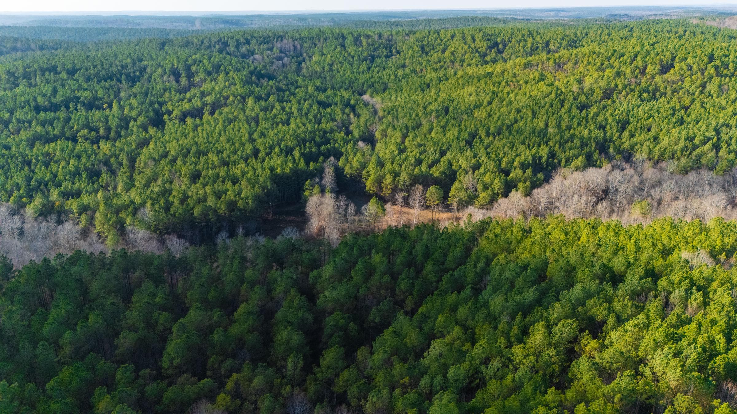 Lighting Ridge — Zero Credit Land owner financed land for sale in Colbert County, Alabama photo 12