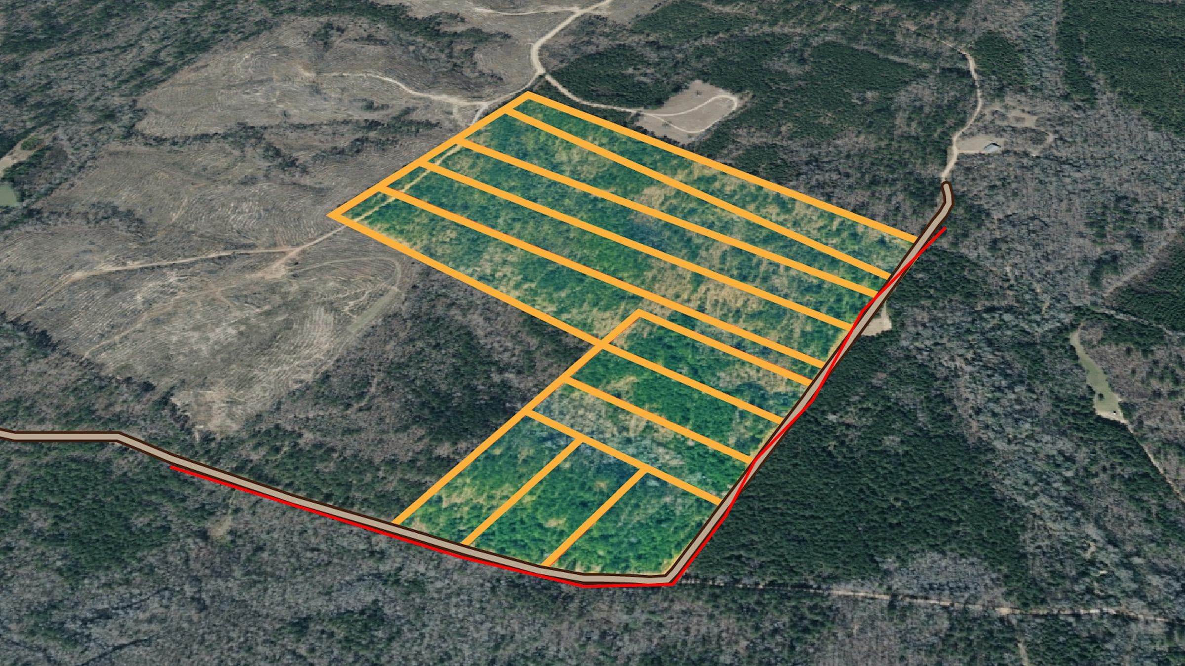 Olive Hill — Zero Credit Land owner financed land for sale in Lamar County, Alabama photo 23