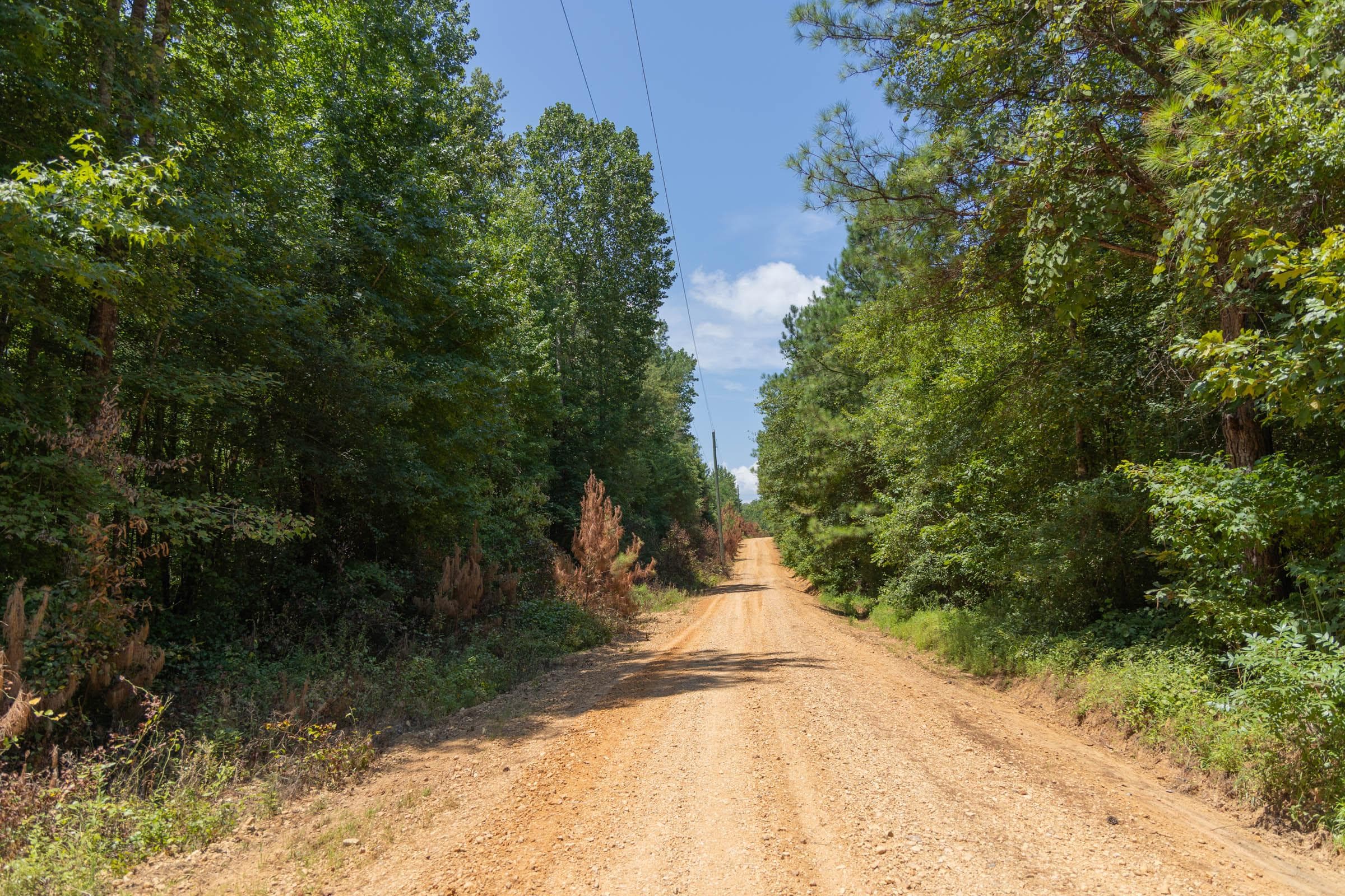 Olive Hill — Zero Credit Land owner financed land for sale in Lamar County, Alabama photo 22