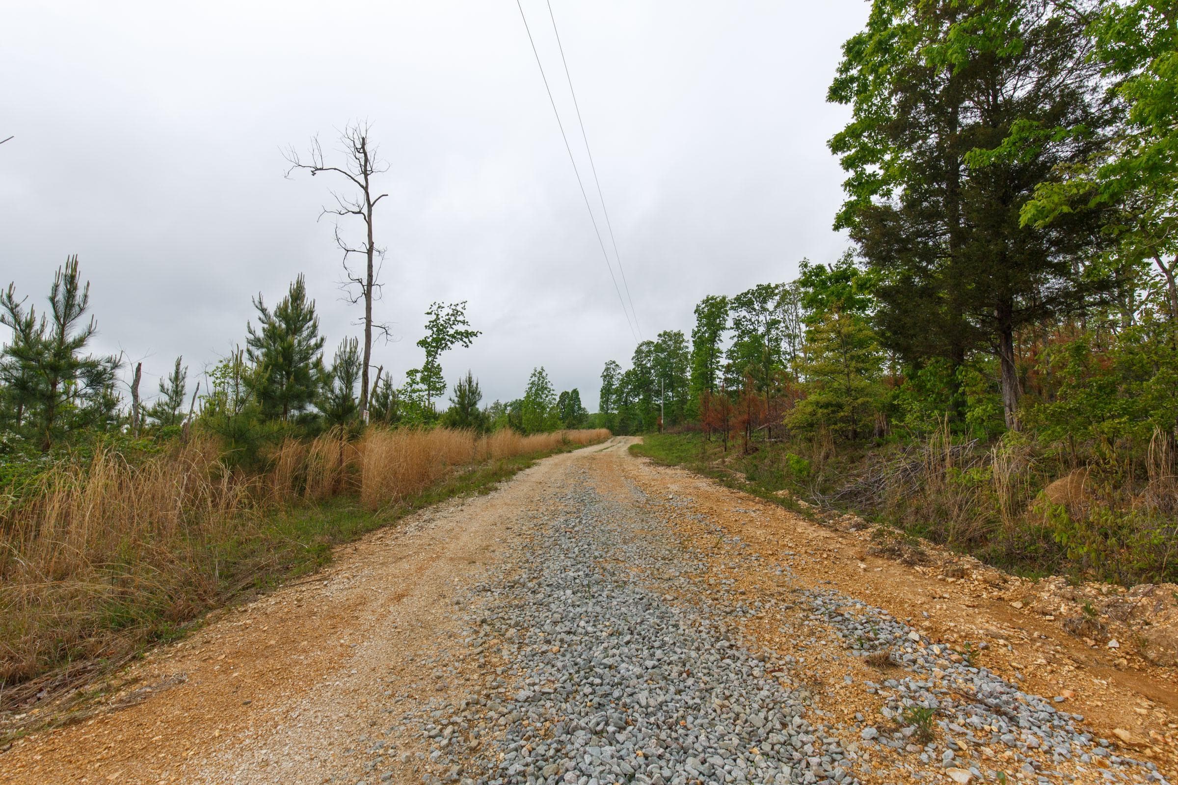 Red Barn Ranch — Zero Credit Land owner financed land for sale in Benton County, Tennessee photo 6