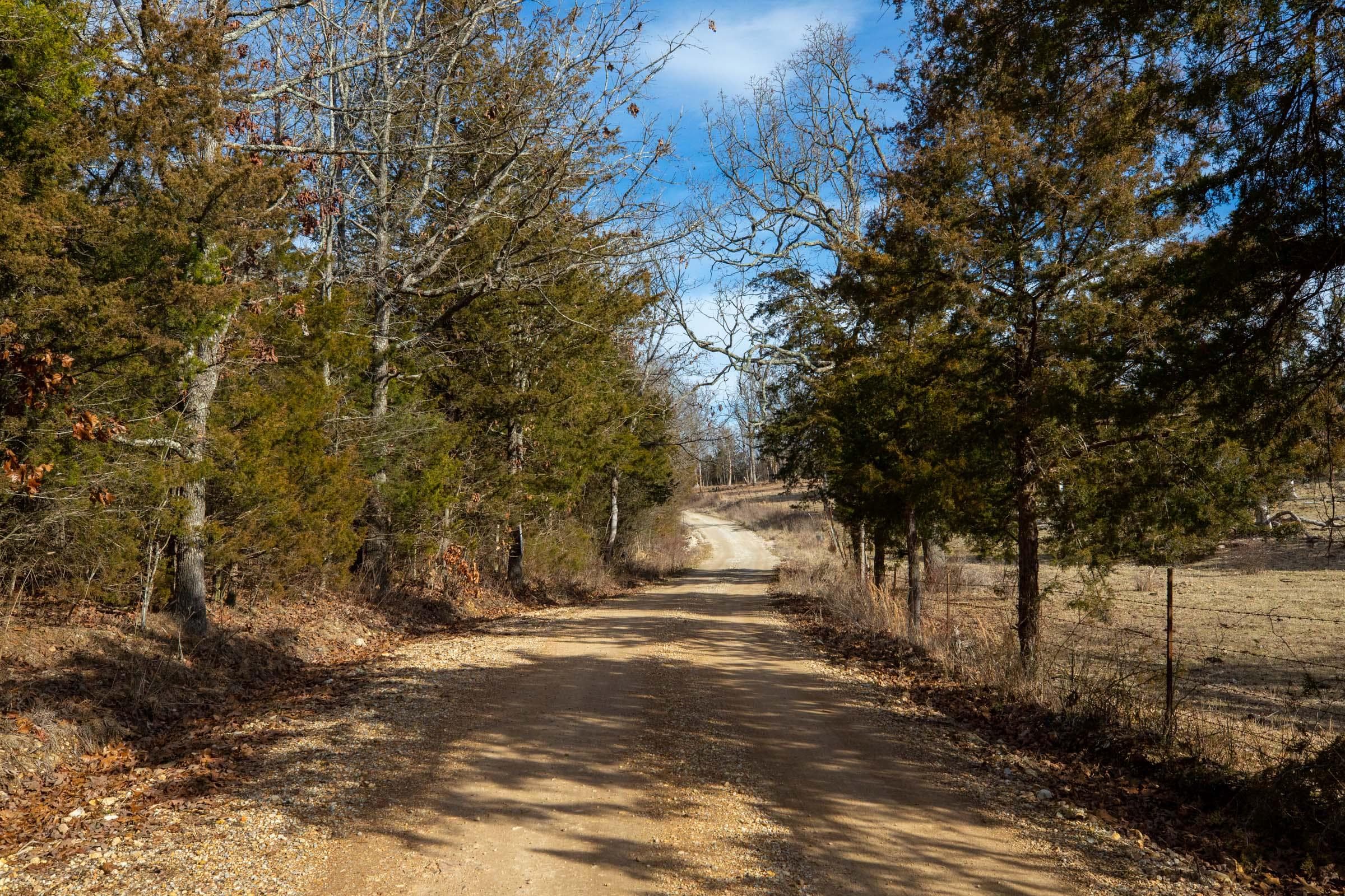 Forest Hill — Zero Credit Land owner financed land for sale in Texas County, Missouri photo 11