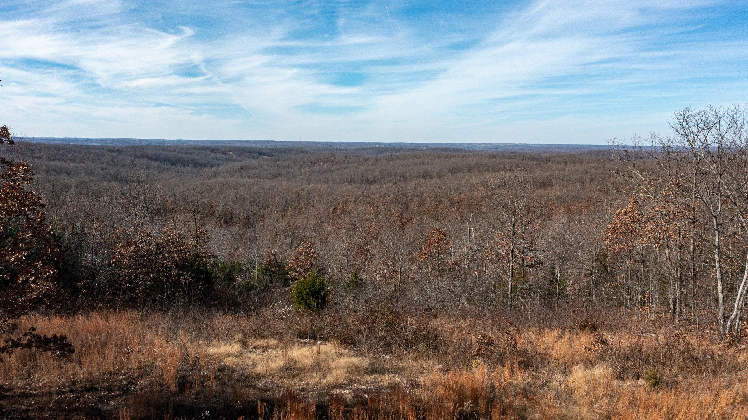 Dutchman Hollow — Zero Credit Land owner financed land for sale in Fulton County, Arkansas photo 9