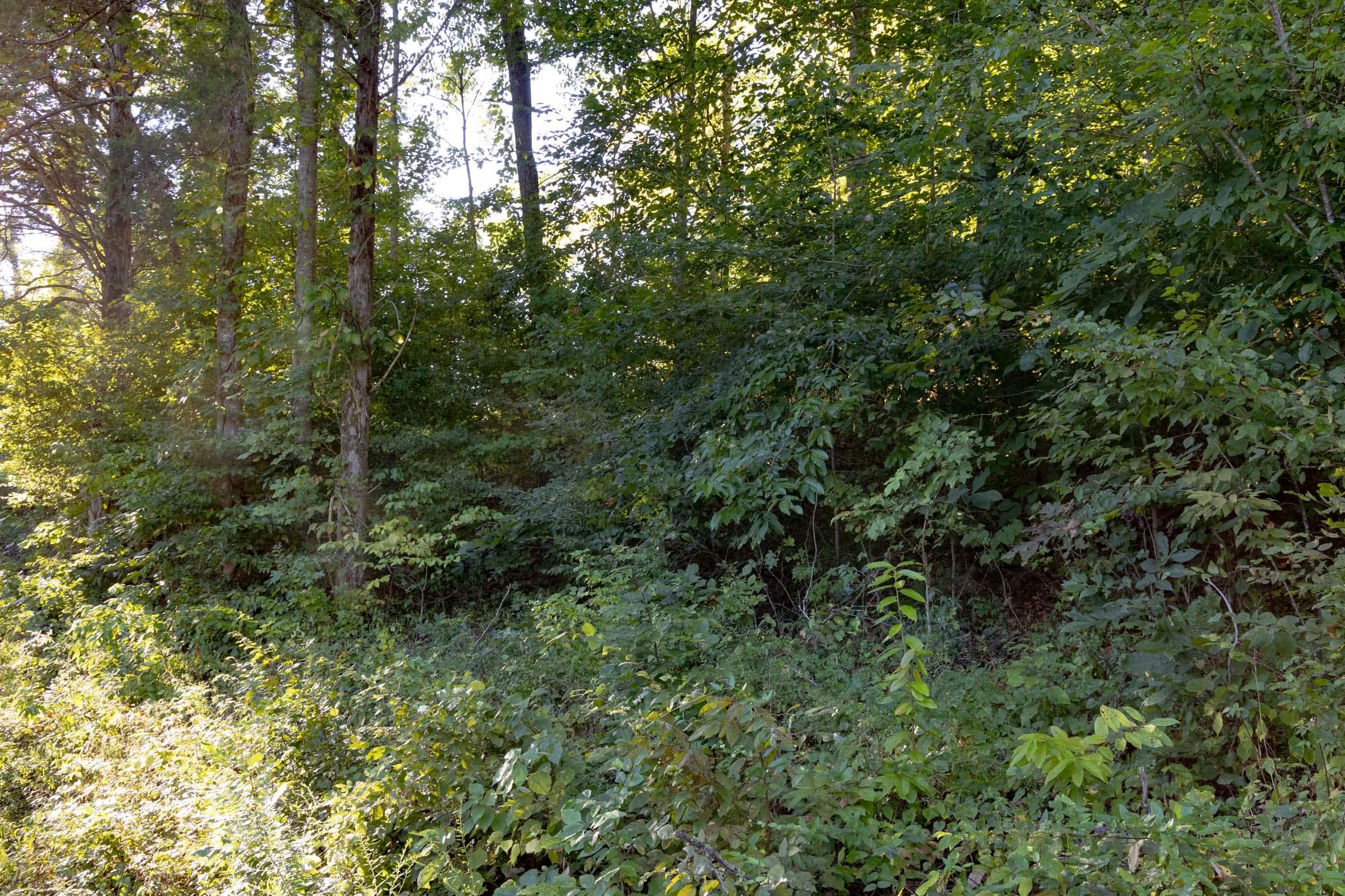 Property photo 323