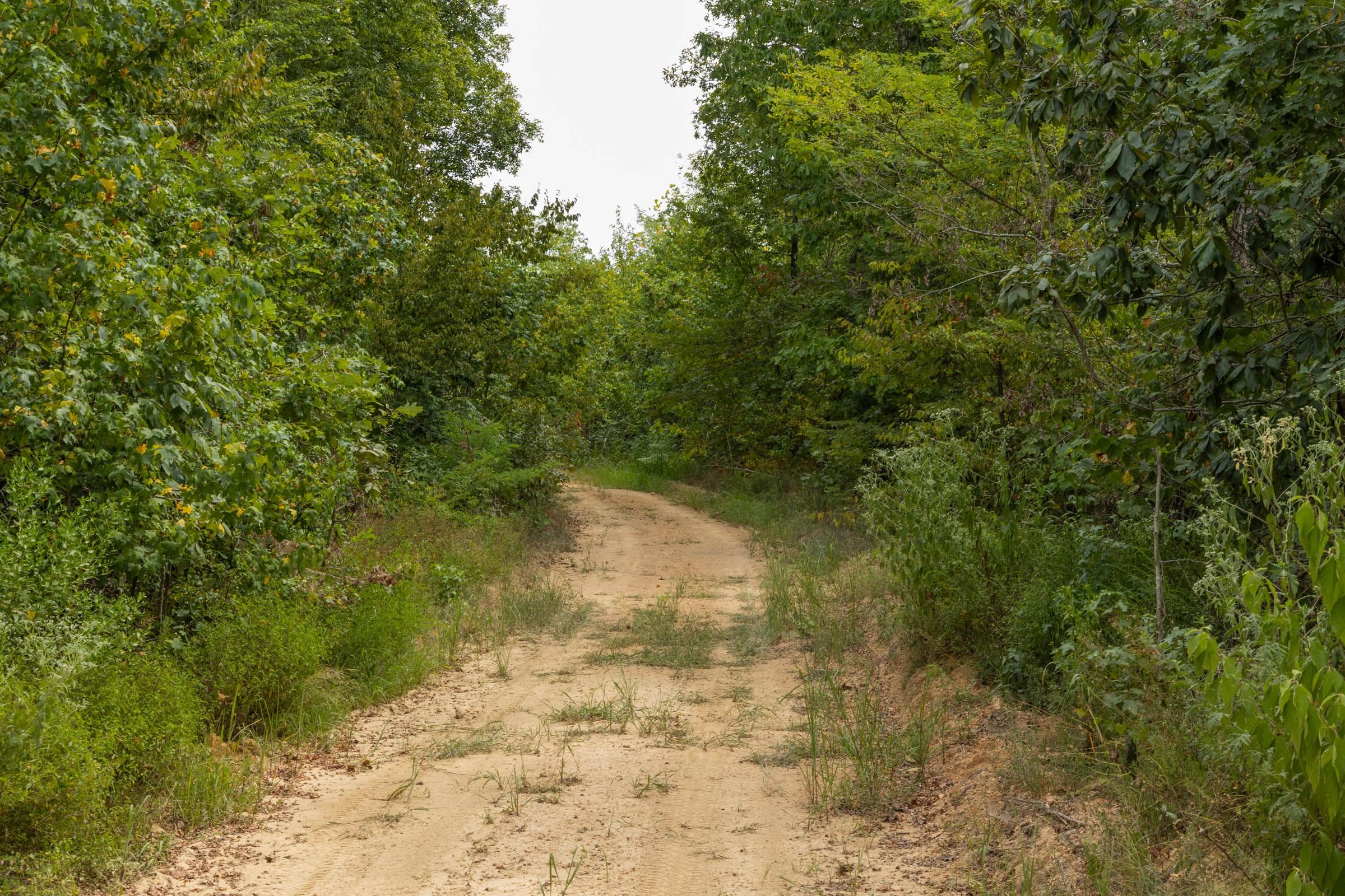 Property photo 61