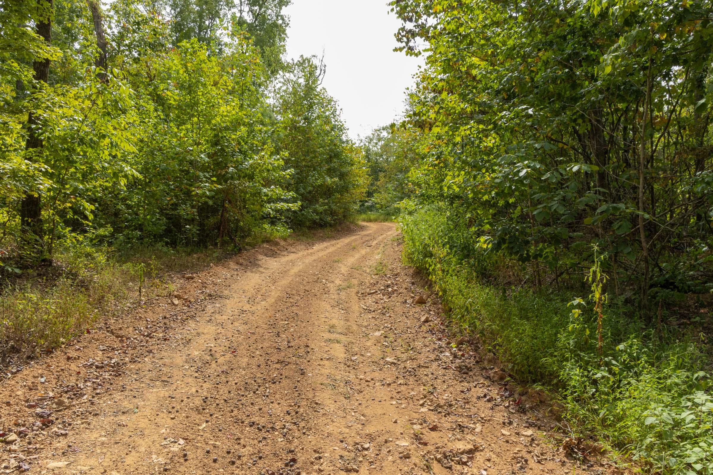 Property photo 64