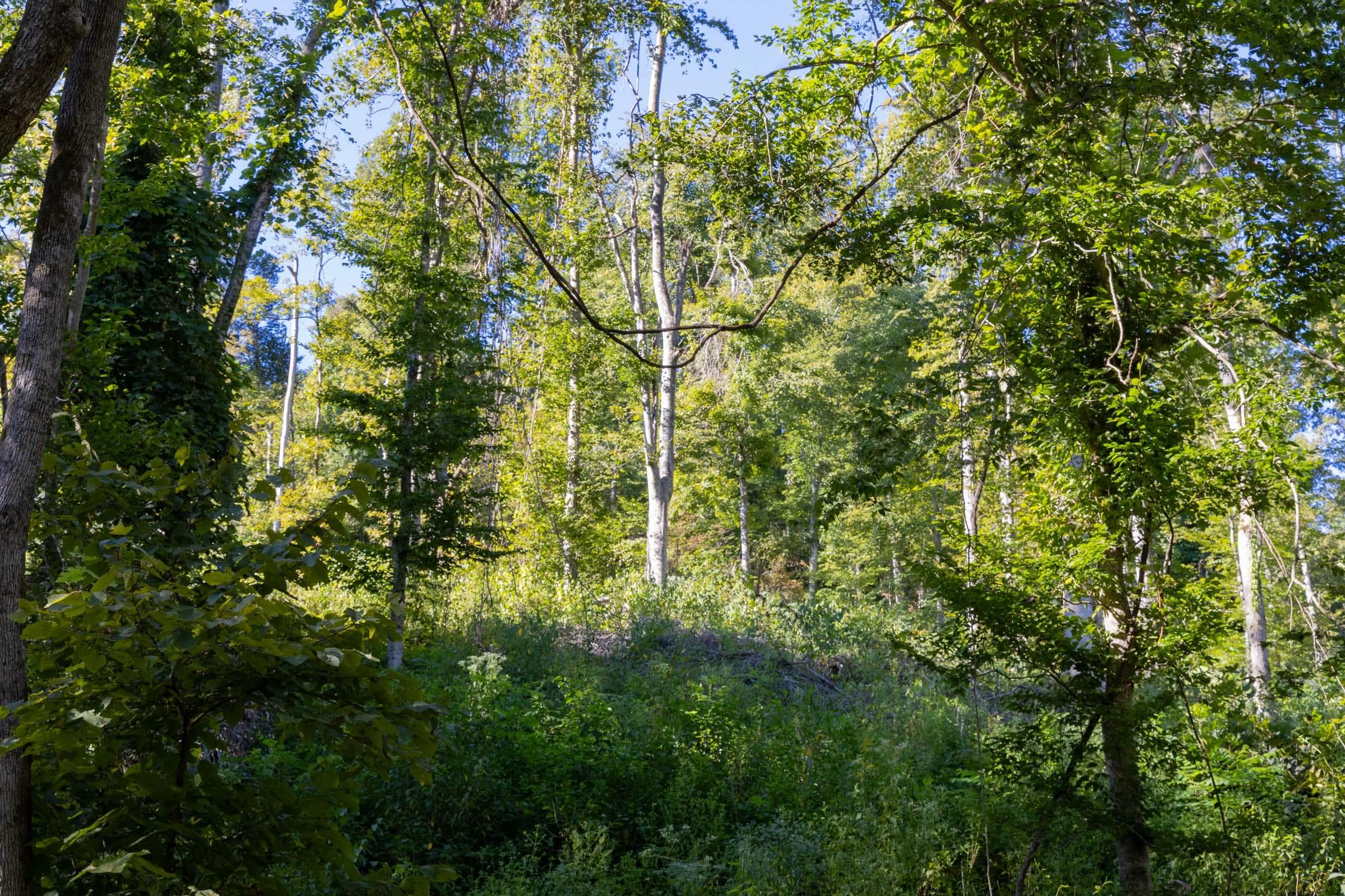 Property photo 301