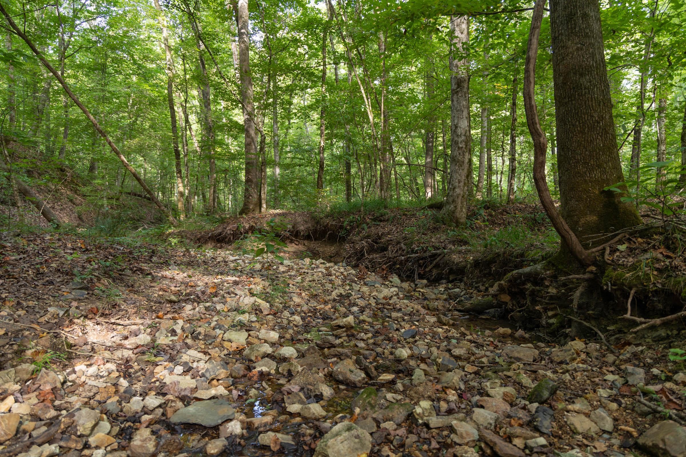 Property photo 283