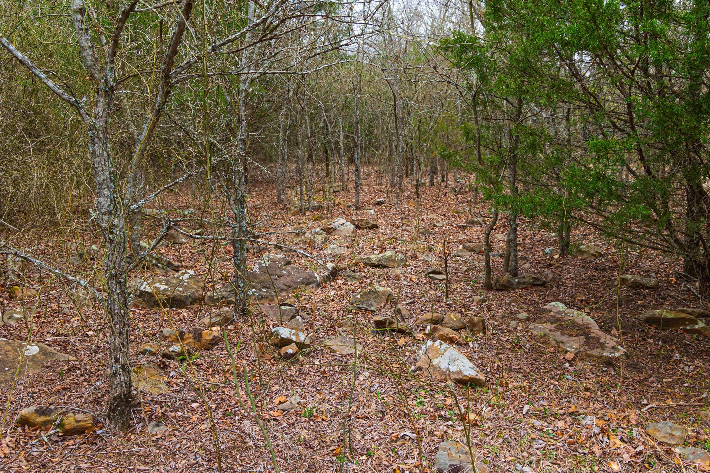Reserves At Cattail Cove Phase I — Zero Credit Land owner financed land for sale in Pittsburg County, Oklahoma photo 74