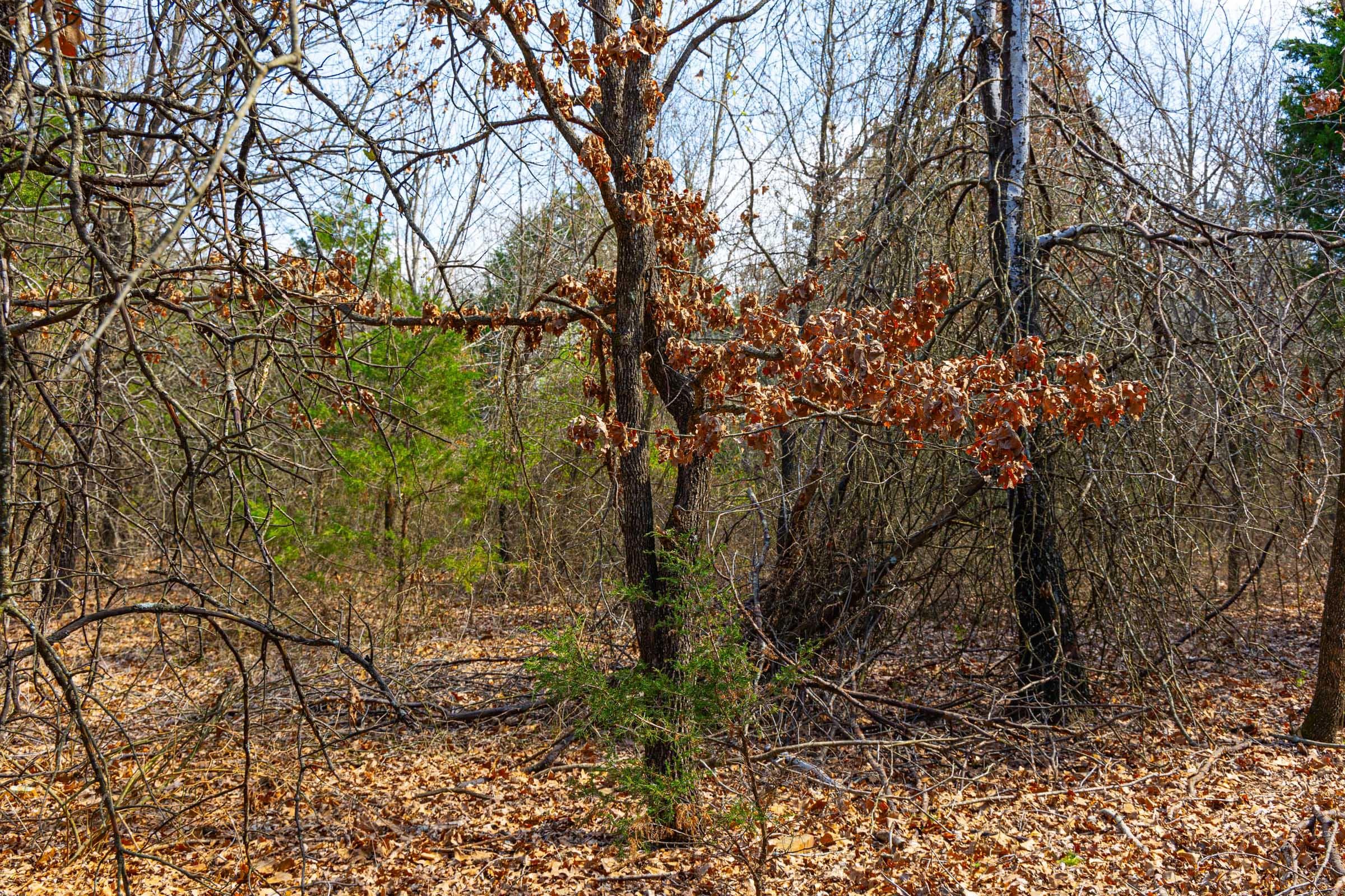 Reserves At Cattail Cove Phase I — Zero Credit Land owner financed land for sale in Pittsburg County, Oklahoma photo 68