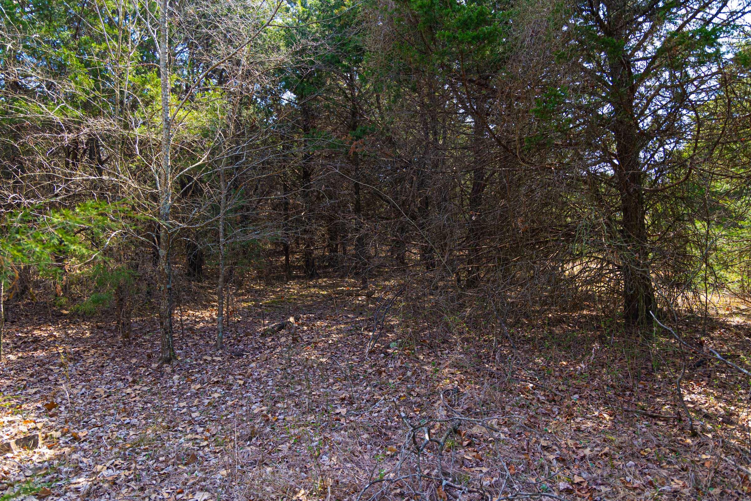 Reserves At Cattail Cove Phase I — Zero Credit Land owner financed land for sale in Pittsburg County, Oklahoma photo 69