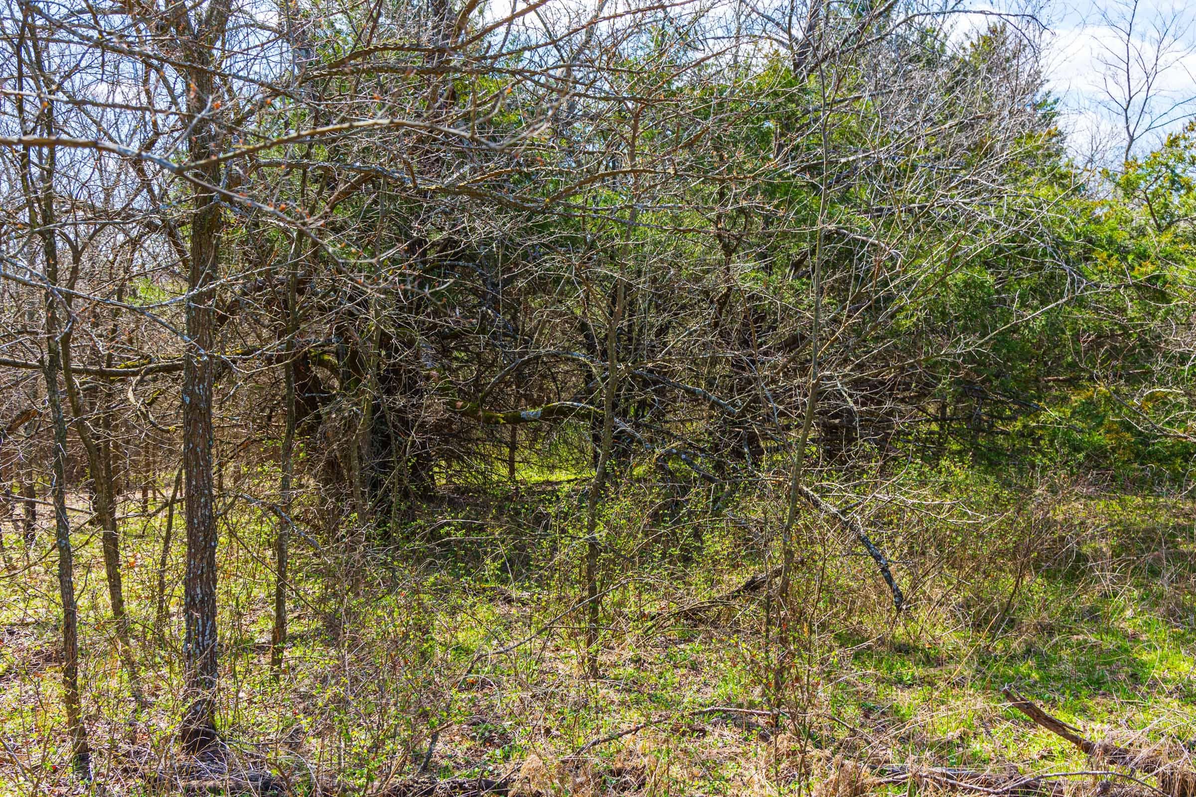 Reserves At Cattail Cove Phase I — Zero Credit Land owner financed land for sale in Pittsburg County, Oklahoma photo 59