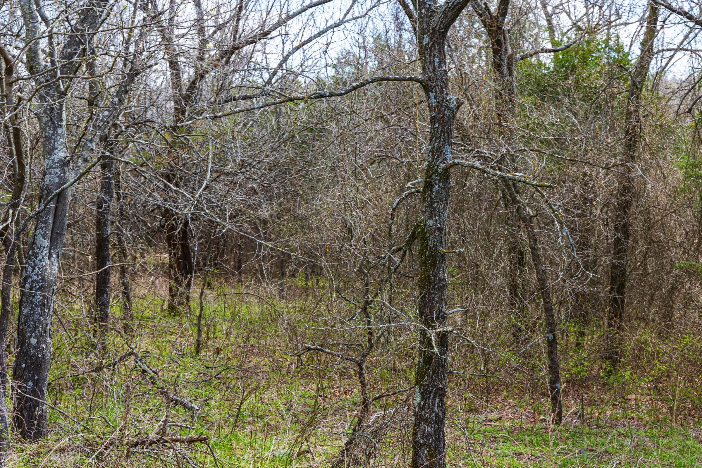 Reserves At Cattail Cove Phase I — Zero Credit Land owner financed land for sale in Pittsburg County, Oklahoma photo 57