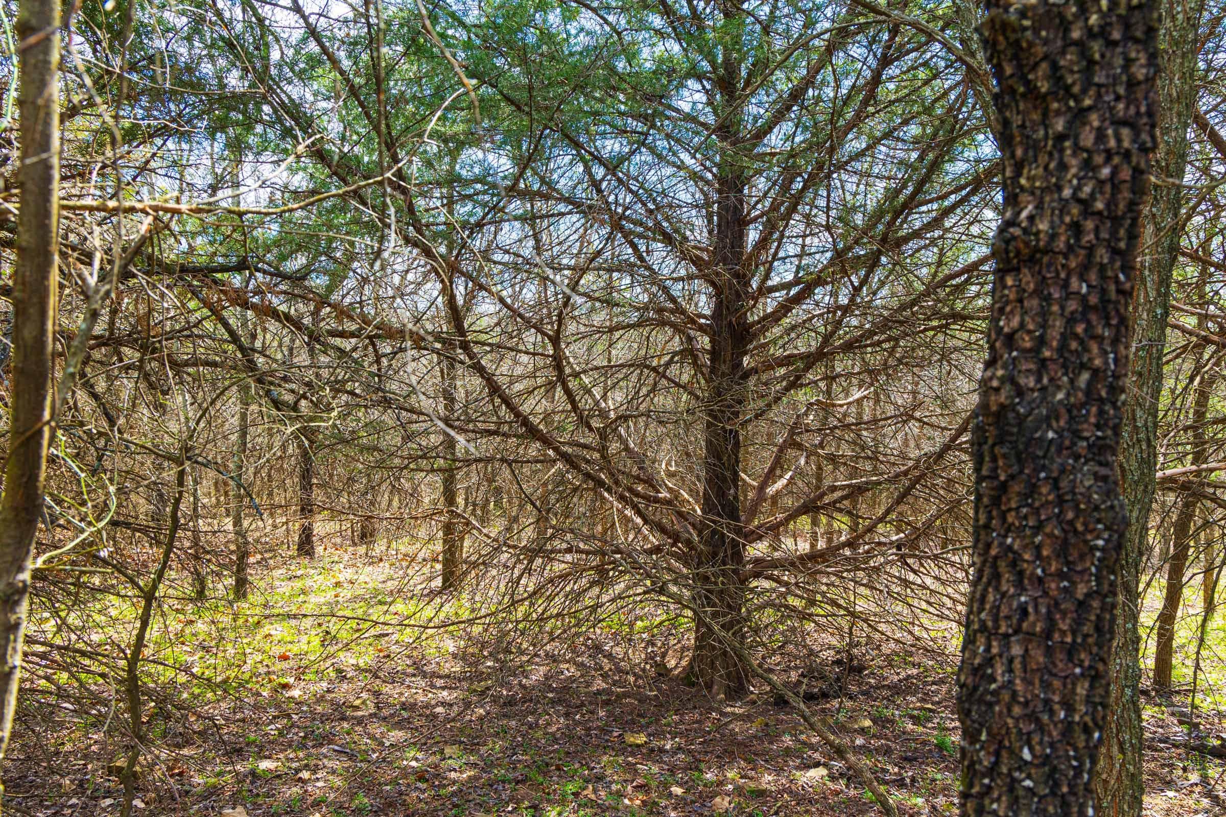 Reserves At Cattail Cove Phase I — Zero Credit Land owner financed land for sale in Pittsburg County, Oklahoma photo 62