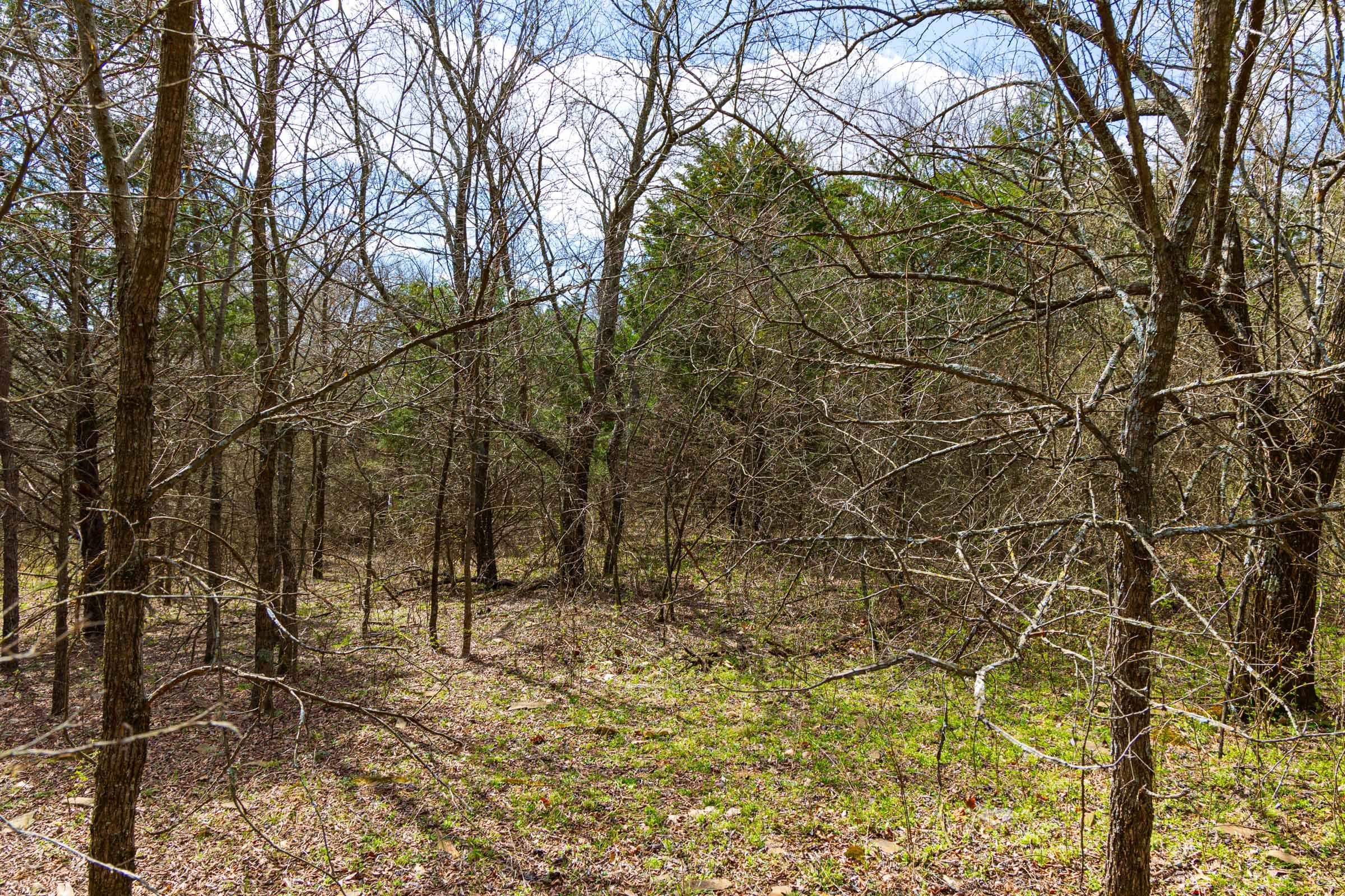 Reserves At Cattail Cove Phase I — Zero Credit Land owner financed land for sale in Pittsburg County, Oklahoma photo 60